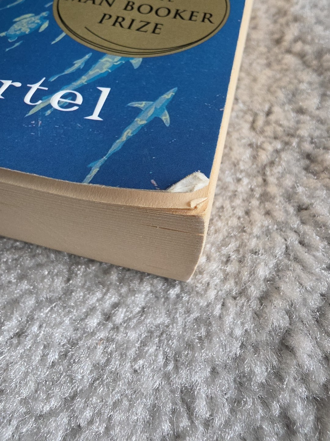 LIFE OF PI by Yann Martel. First Edition