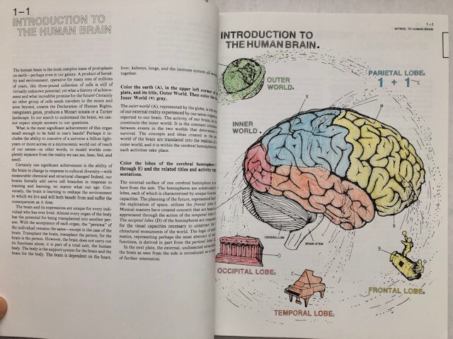 The Human Brain Coloring Book by Diamond, Scheibel, Elson (301 pages no damage)