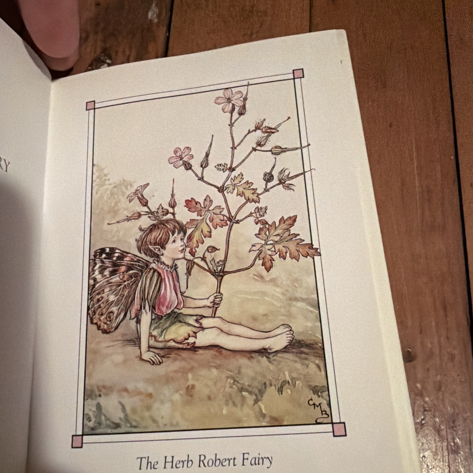 Flower Fairies Of The Summer Cicely Mary Barker 2002 HCDJ Frederick Warne