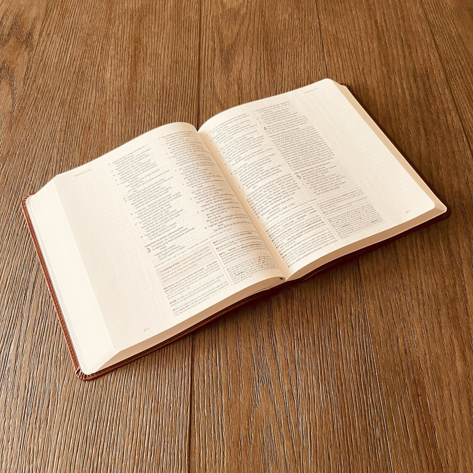 Personalized ESV Journaling Study Bible, Son of a King Design, Name Engraved