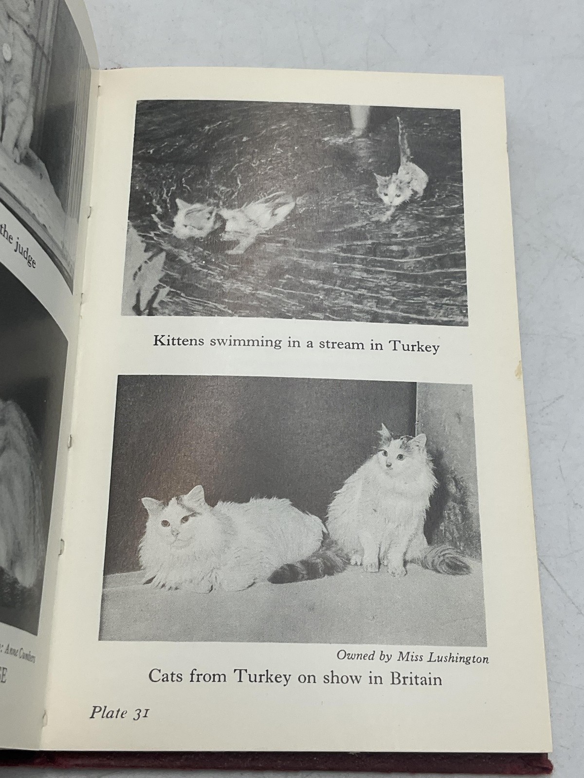 Vintage The Observer’s Book Of Cats Grace Pond Hardcover 1971 Warne Pocket Size