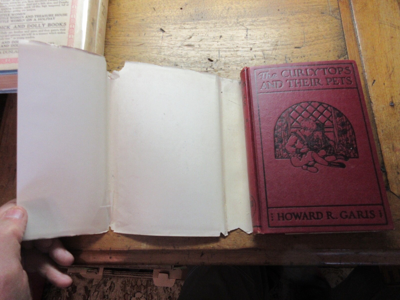 THE CURLYTOPS AND THEIR PETS Dust Jacket DJ 1921
