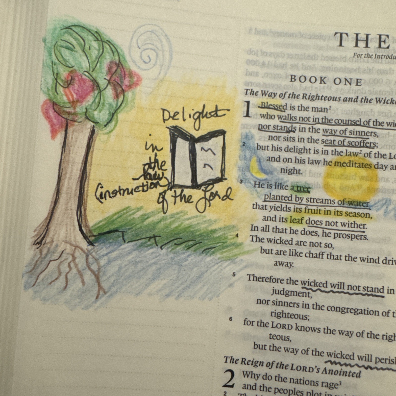 ESV Journaling Hardcover Bible Study Devotional Christian Faith Student Church