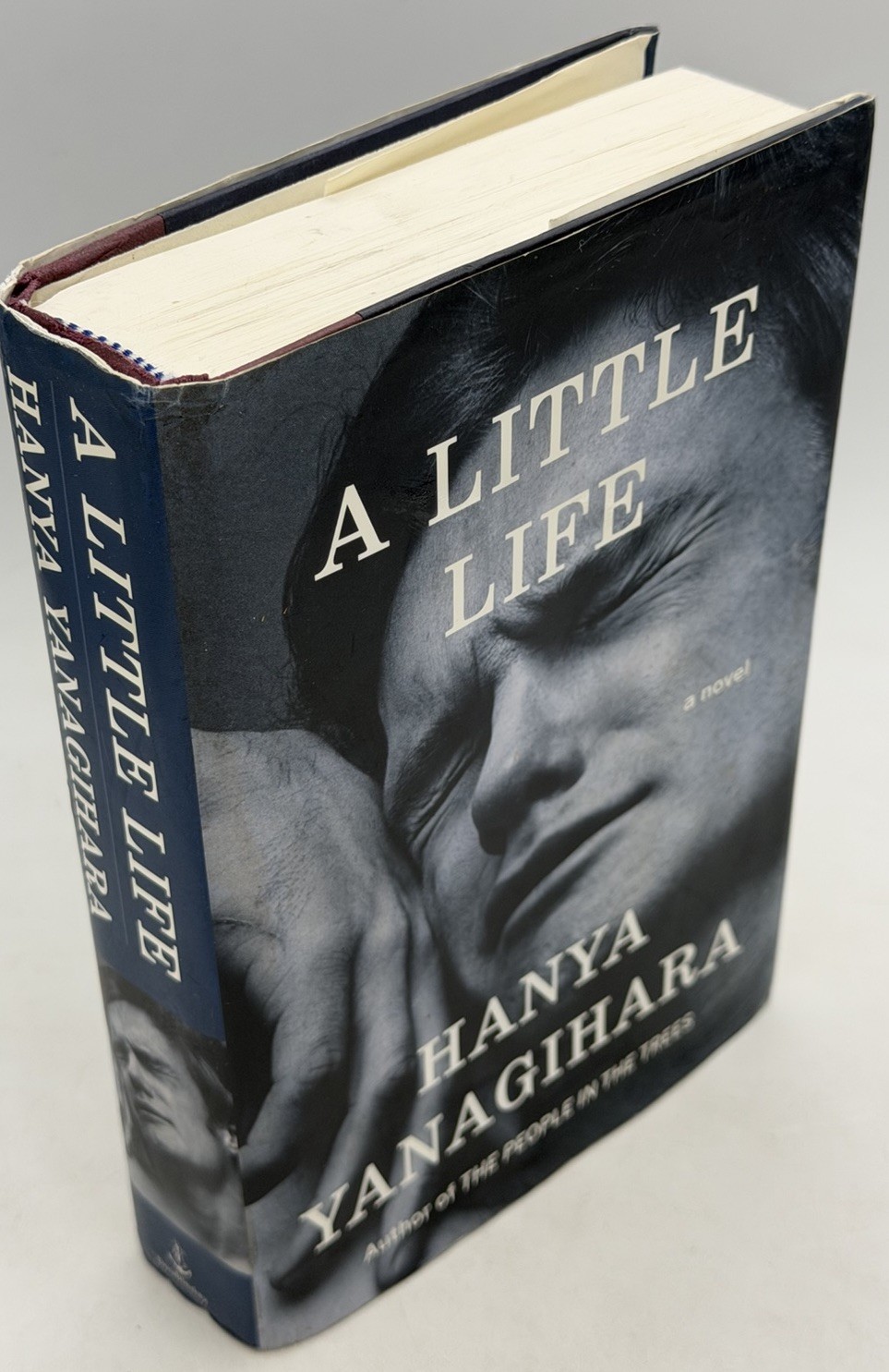 A Little Life by Hanya Yanagihara (2015, Hardcover) First Edition/Print, 1st/1st