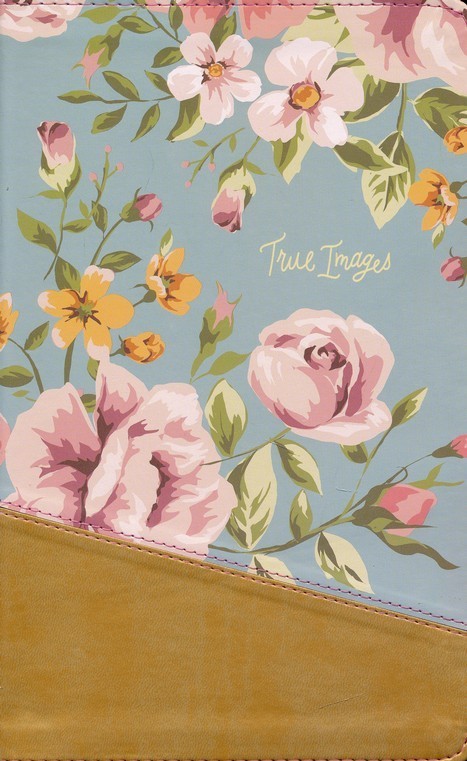 NIV, True Images Bible, Imitation Leather, Blue/Gold: The Bible for Teen Girls