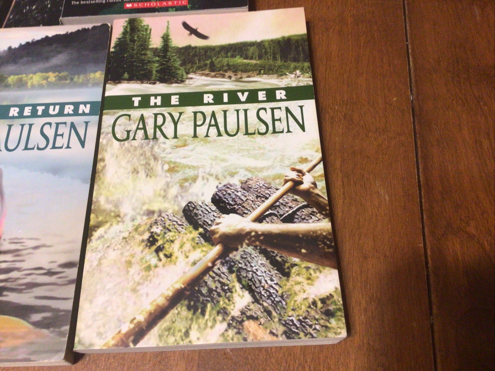 Complete Set Lot Of 5 BRIAN Books Paulsen HATCHET River HUNT Return WINTER (L2)