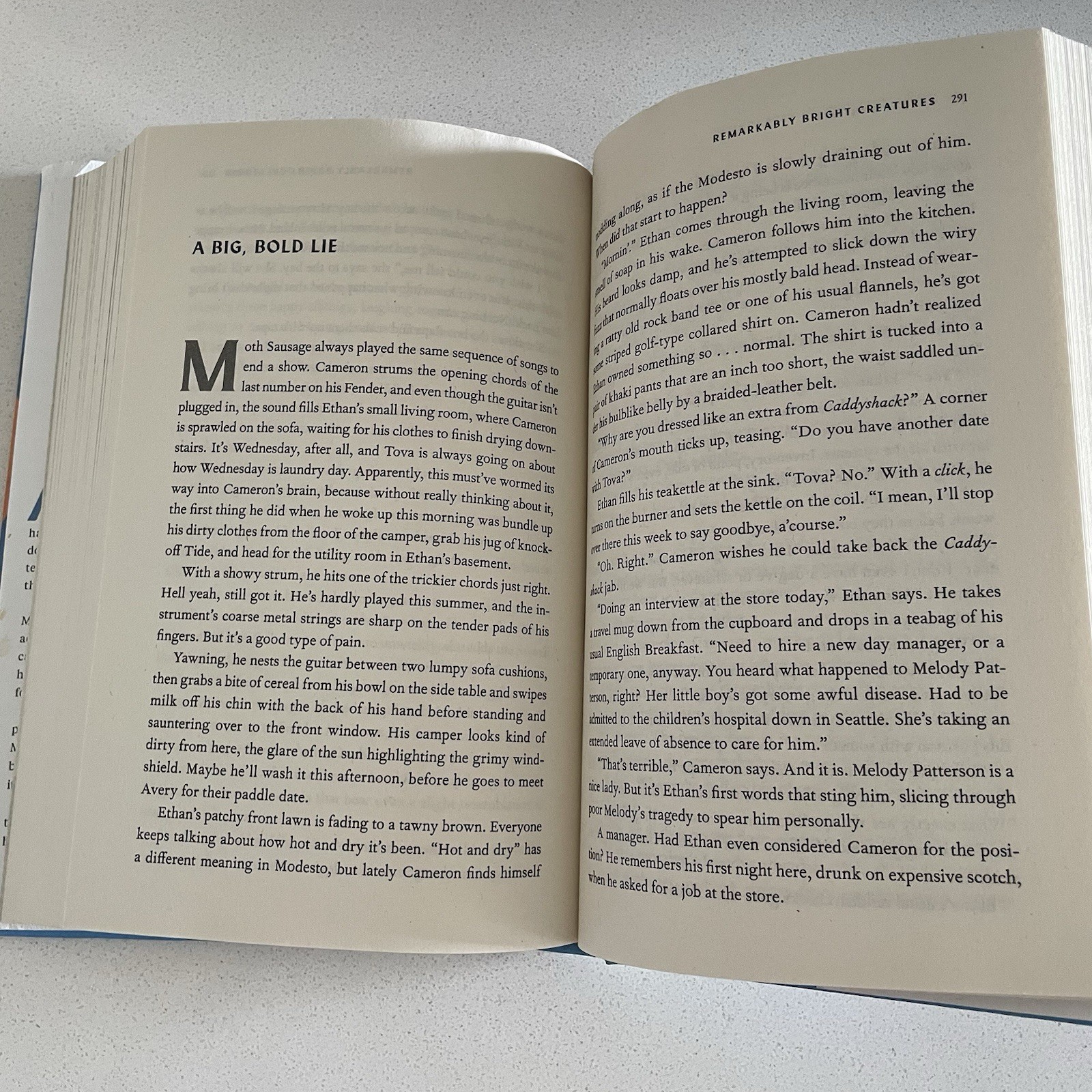 Remarkably Bright Creatures: A Novel By Shelby Van Pelt – Hardcover