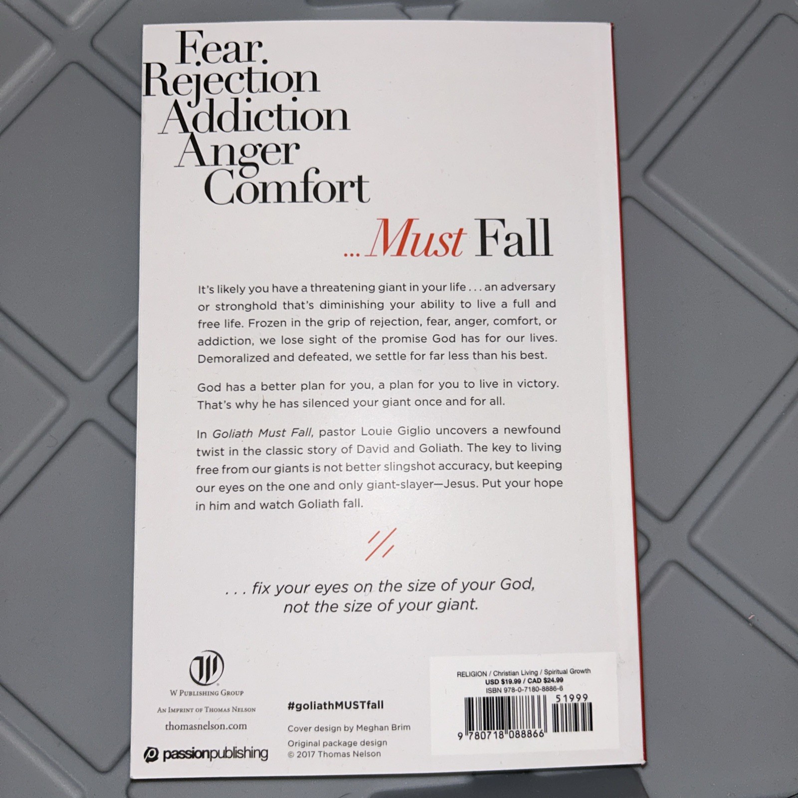 Goliath Must Fall Paperback