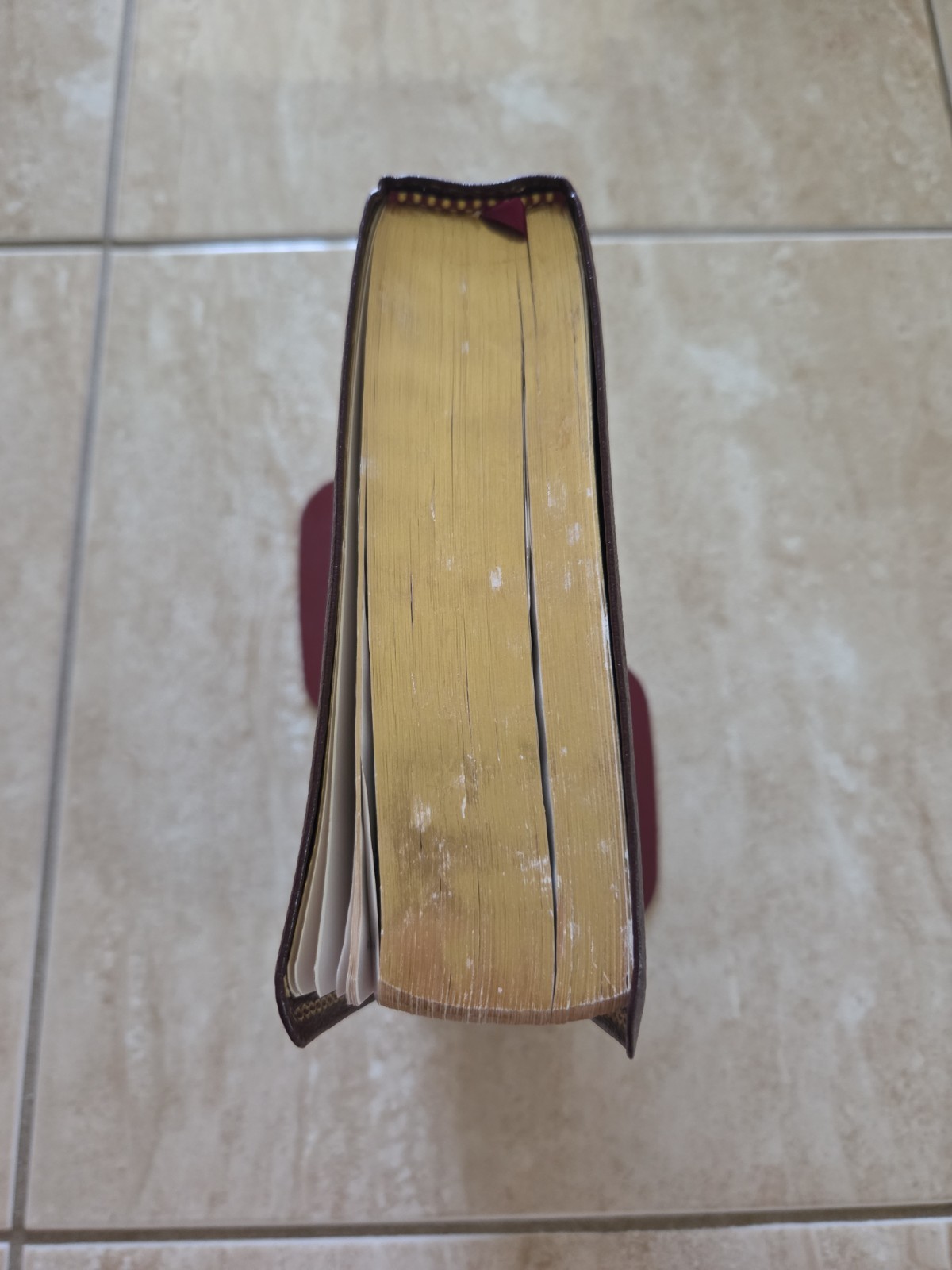 The Reformation Study Bible ESV 2005 Burgundy Genuine Leather Ligonier