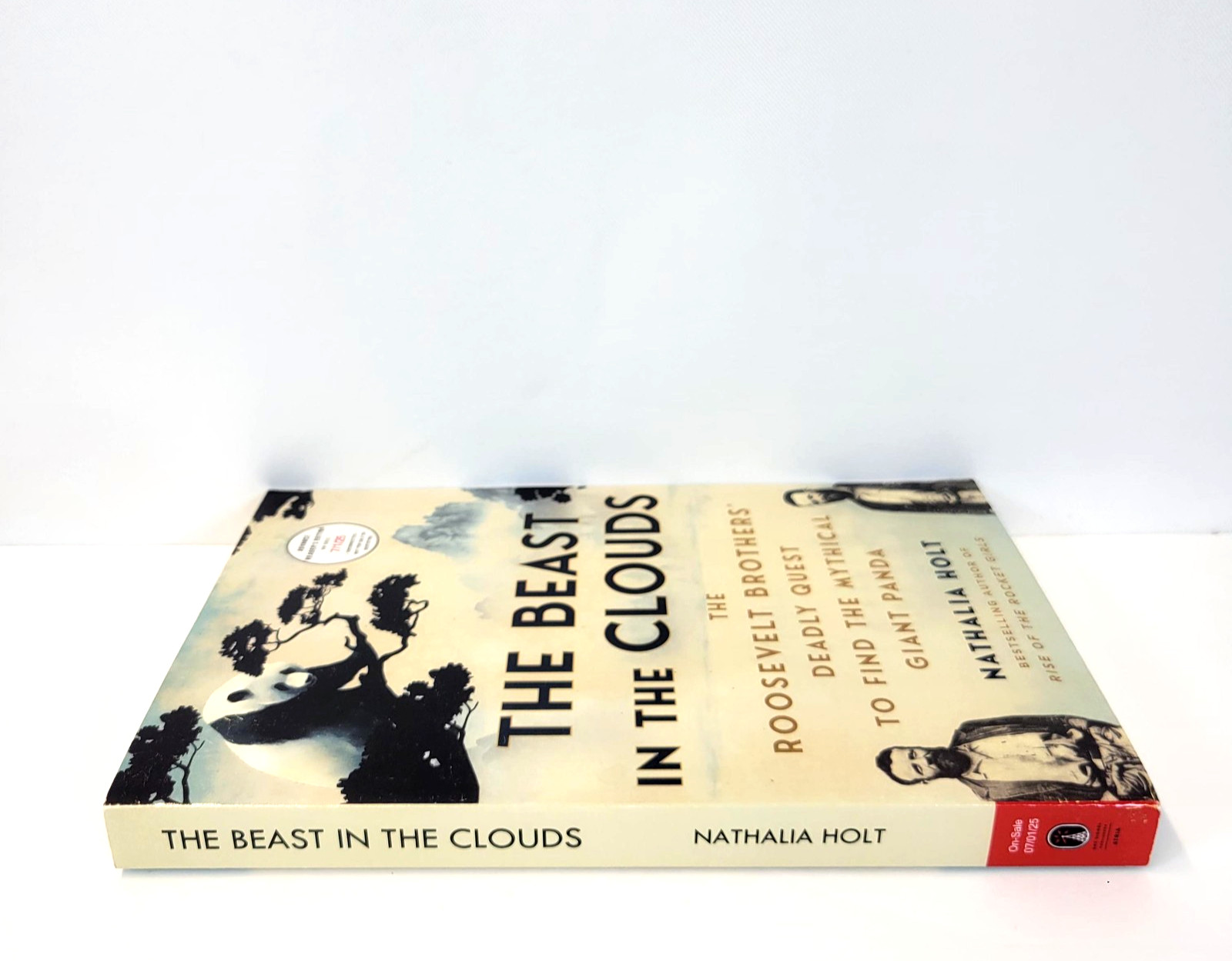 The Beast In The Clouds Nathalia Holt Atria Cream ARC Trade PB Panda Roosevelt