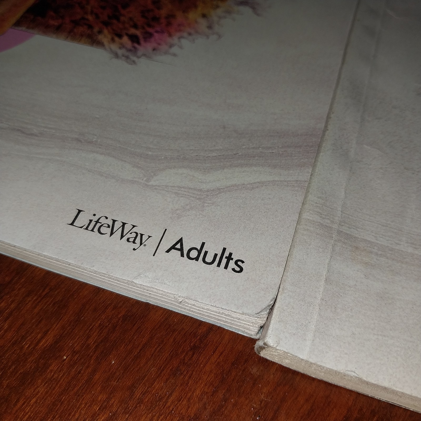 Lifeway Gospel Project Daily Discipline Guide Bible Study Large Print Vol 6 & 7