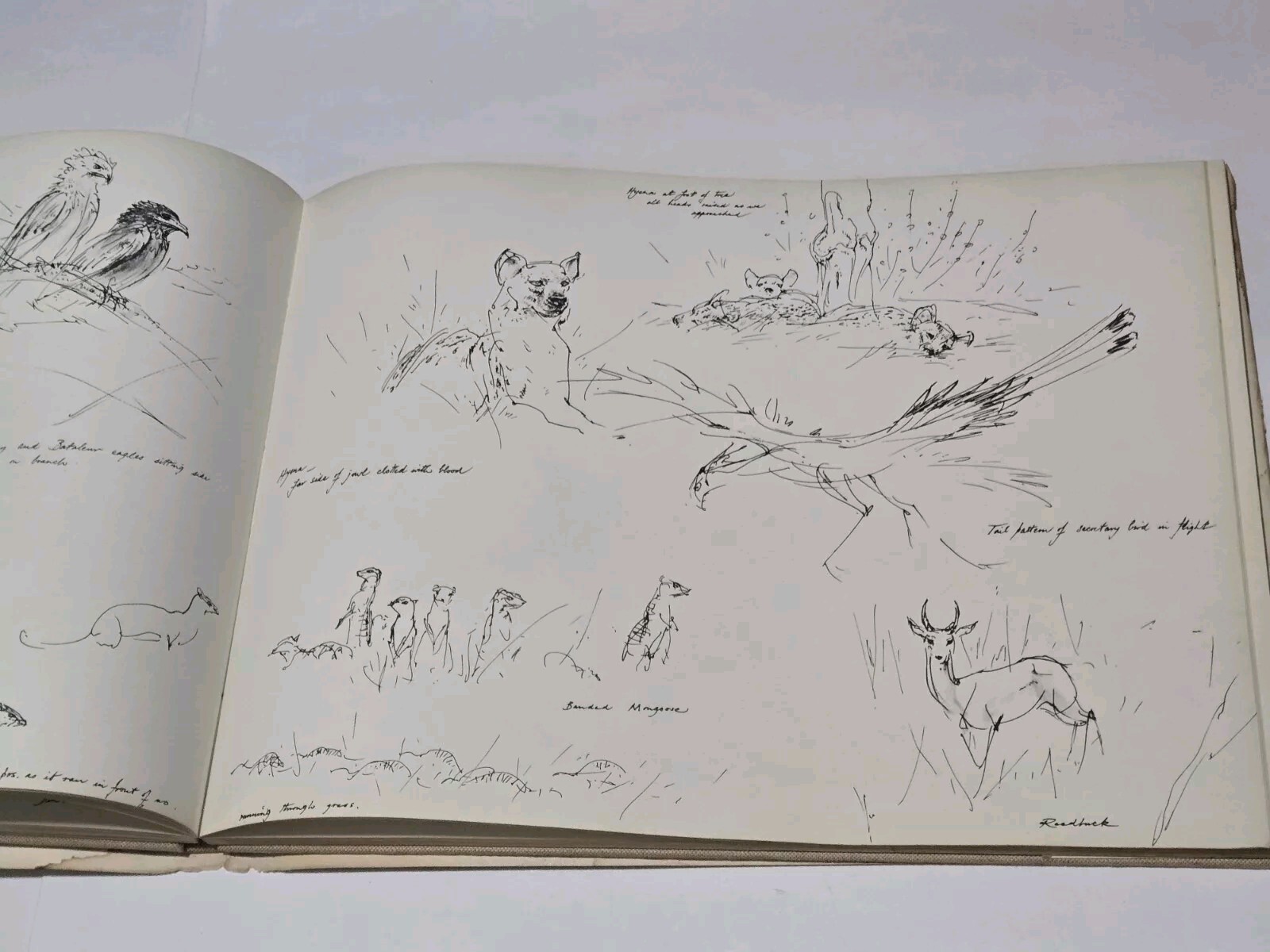 An Artist’s Safari By Ralph Thompson 1970 Hardcover DJ Artist Sketch Book