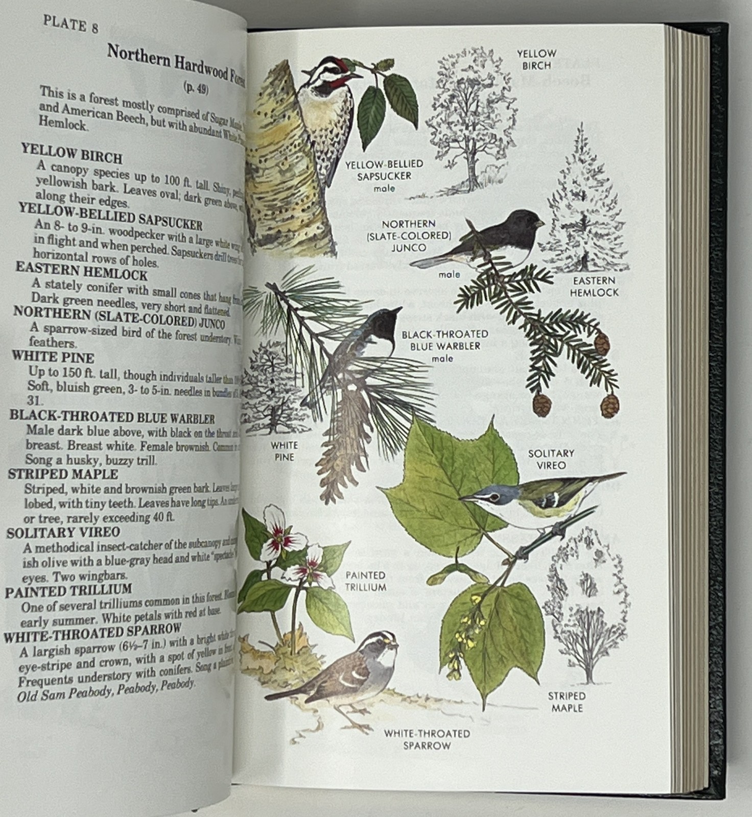 EASTON PRESS: Eastern Forests: North America by John Kricher – 1988 Leather HC