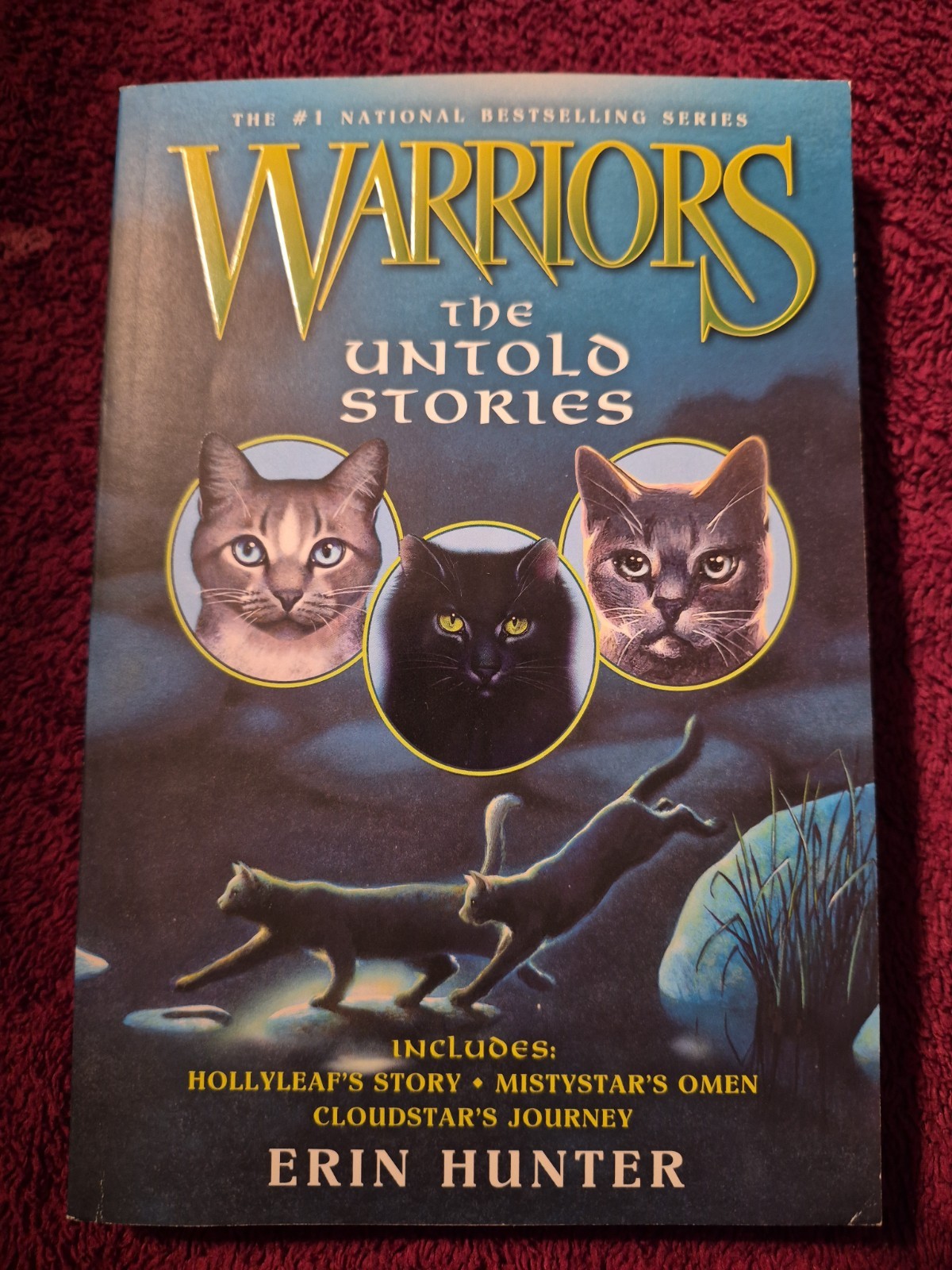 Reduced: The Untold Stories by Erin Hunter (2013, Paperback)