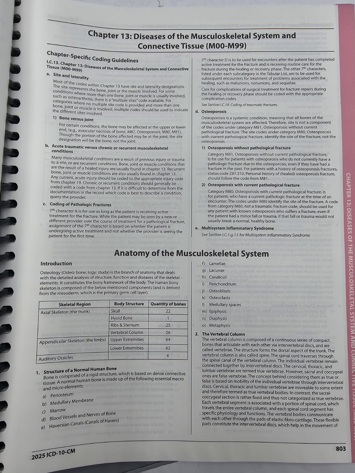 ICD-10-CM Expert Complete Code Set 2025 – Spiral-bound, by AAPC