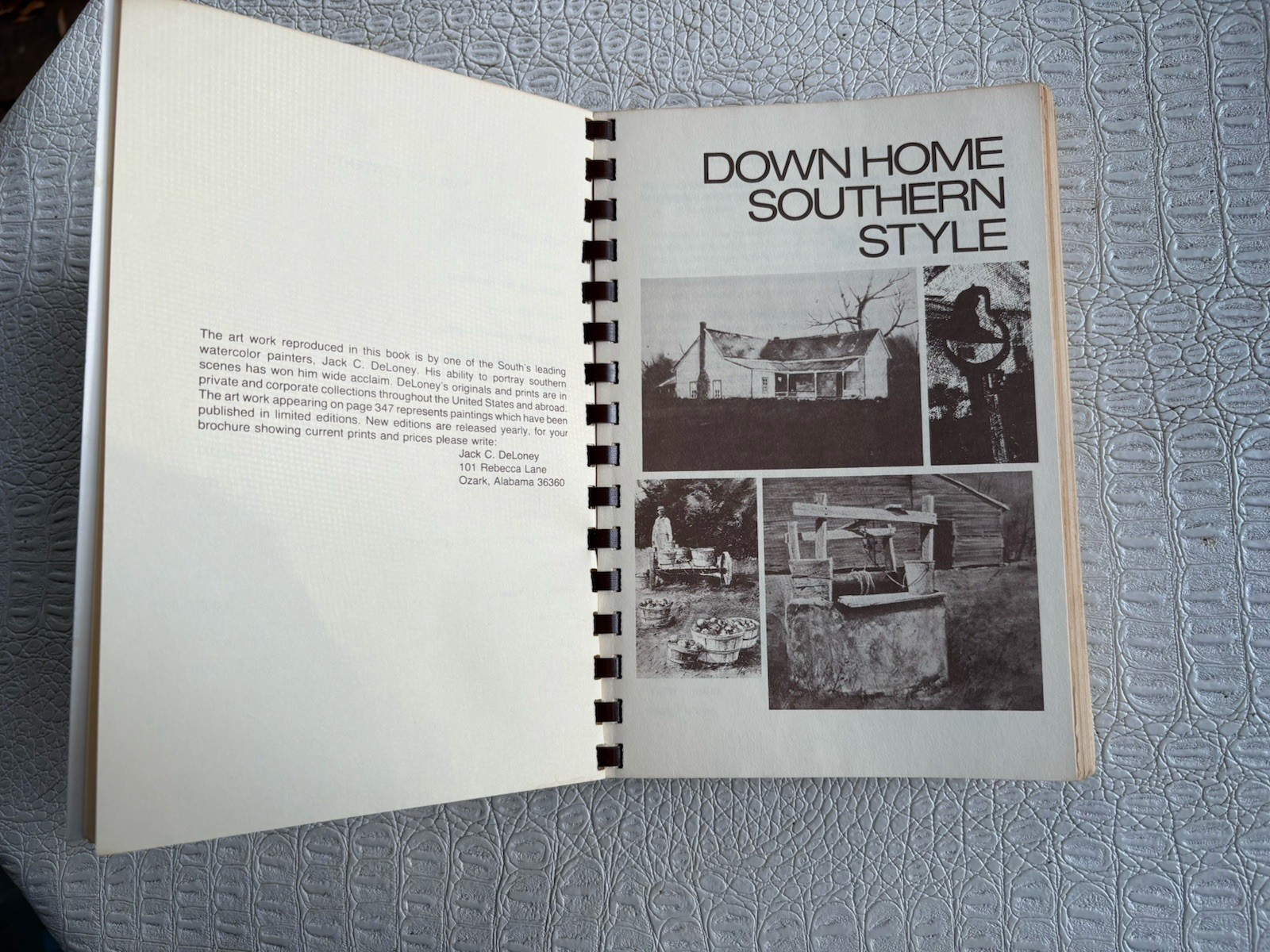 VTG Cookbook DOWN HOME IN HIGH STYLE 3rd Printing 1983 Dothan Alabama 396 Pages