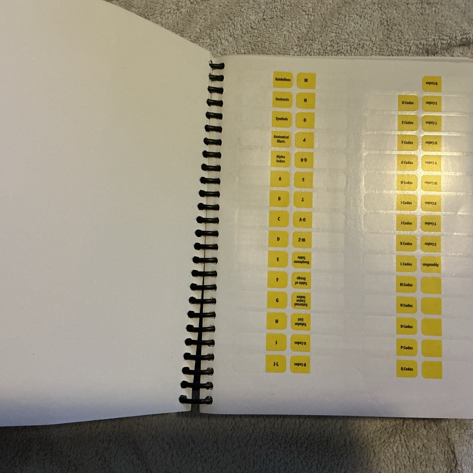 ICD-10-CM Complete Code Set 2025 – Spiral-bound, by AAPC