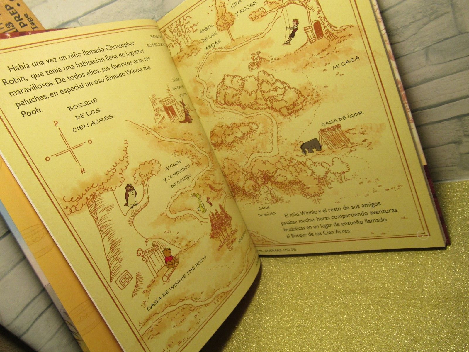 Disney Winie the Pooh /Coleccion GRAN LIBRO DE LA PELICULA/ Hardcover /