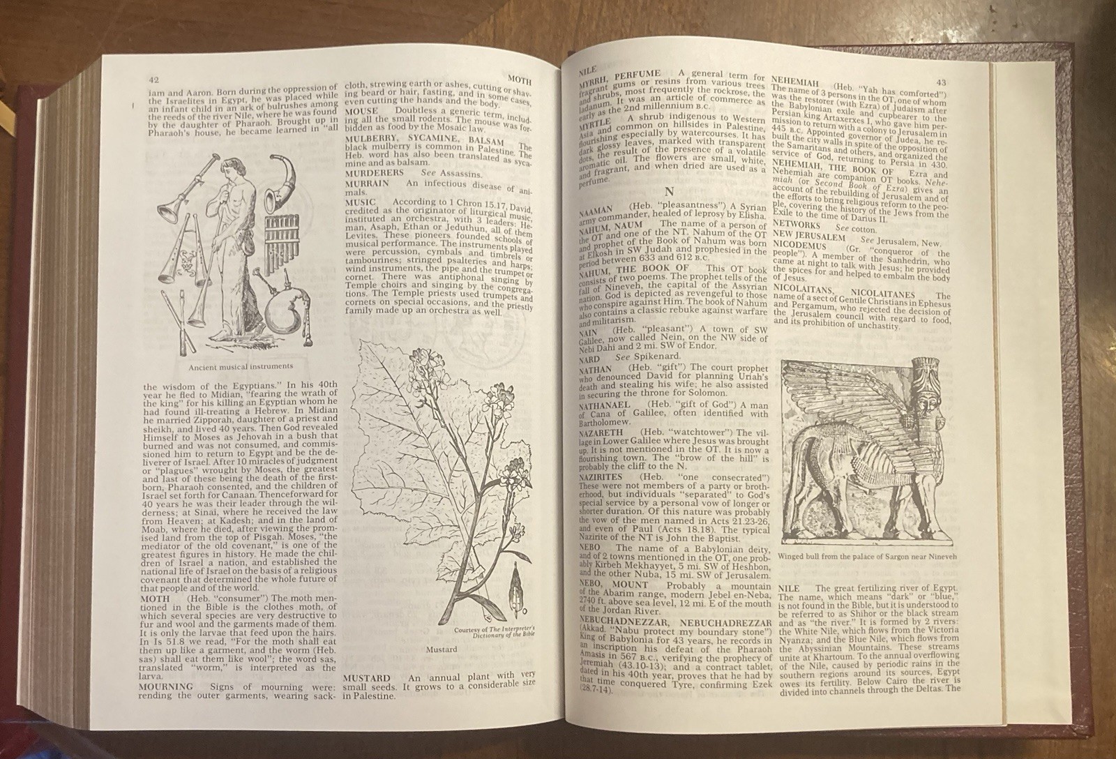 Family Bible by Thomas Nelson Publishing Staff – Bonded Leather