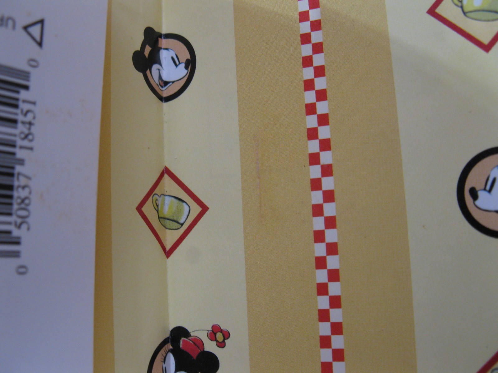 Mickey Minnie Because It’s Your Birthday Book HCDJ 2006 HTF 48 Pages