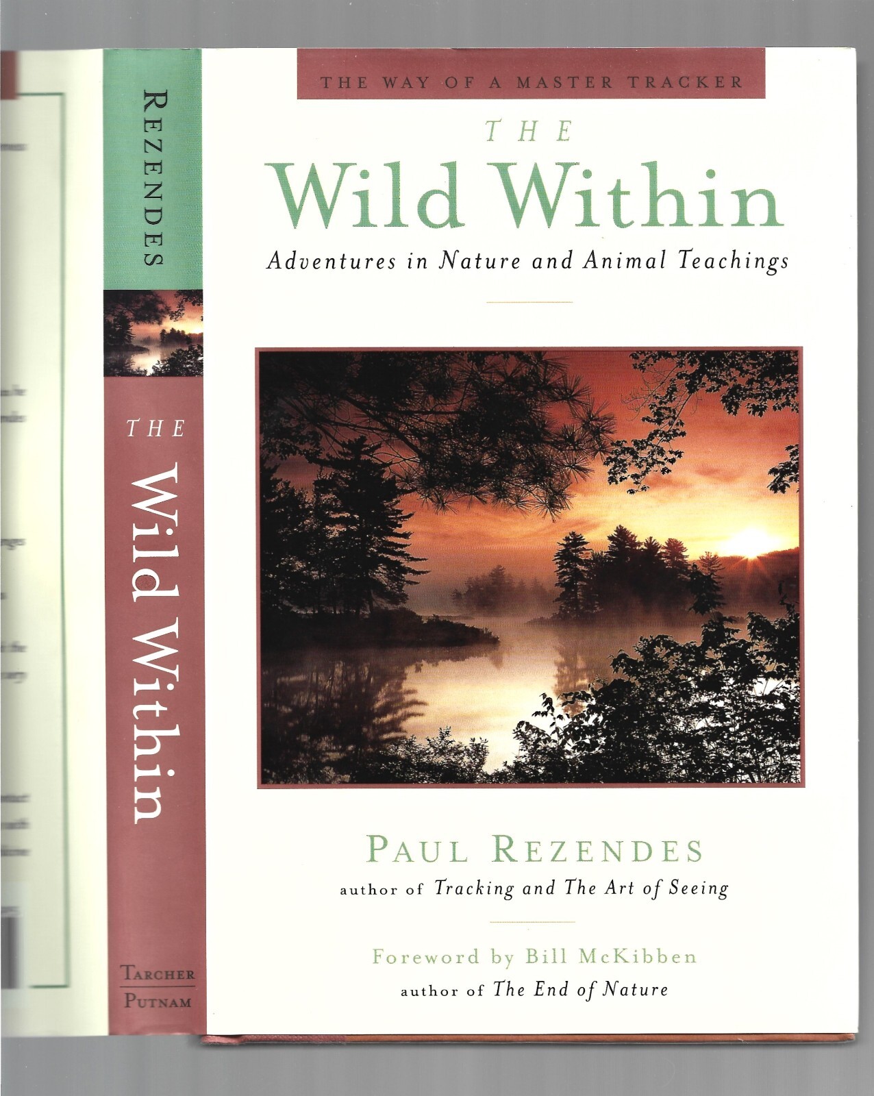 The Wild Within : Adventures in Nature and Animal Teachings HC/DJ