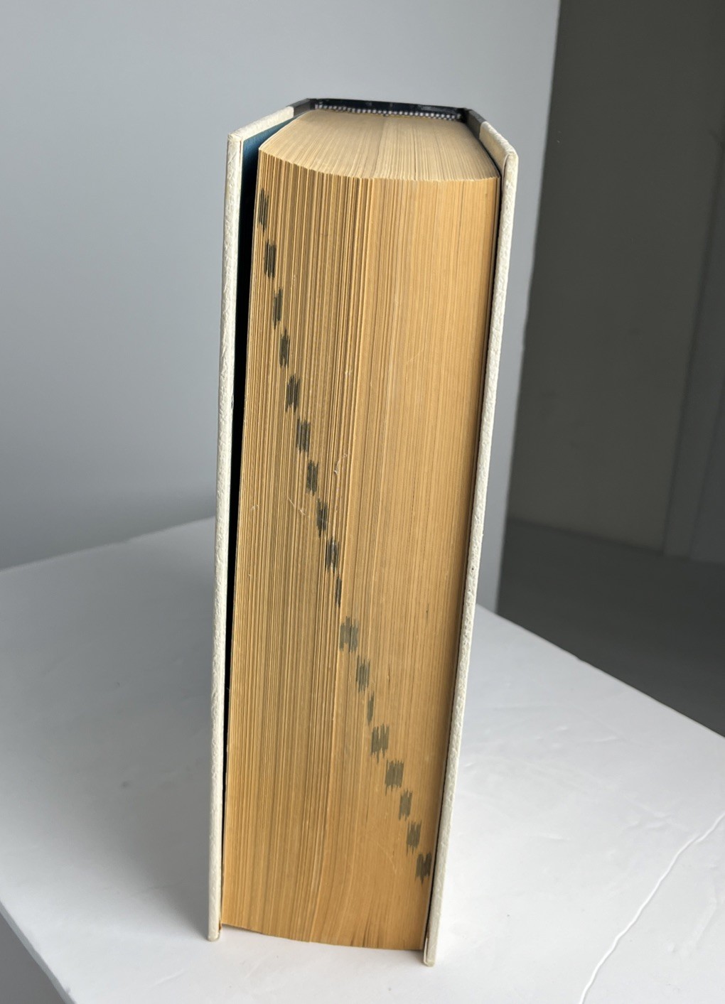 WEBSTER’S Encyclopedia of Dictionaries New American Edition 1981 Large Type VTG
