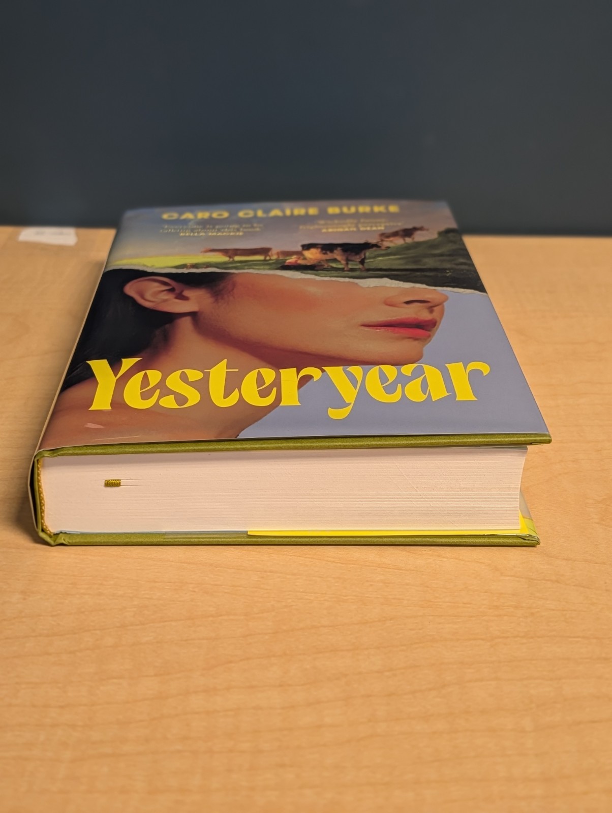 🕰️Caro Claire Burke YESTERYEAR Signed Numbered Goldsboro Fresh Ink /500