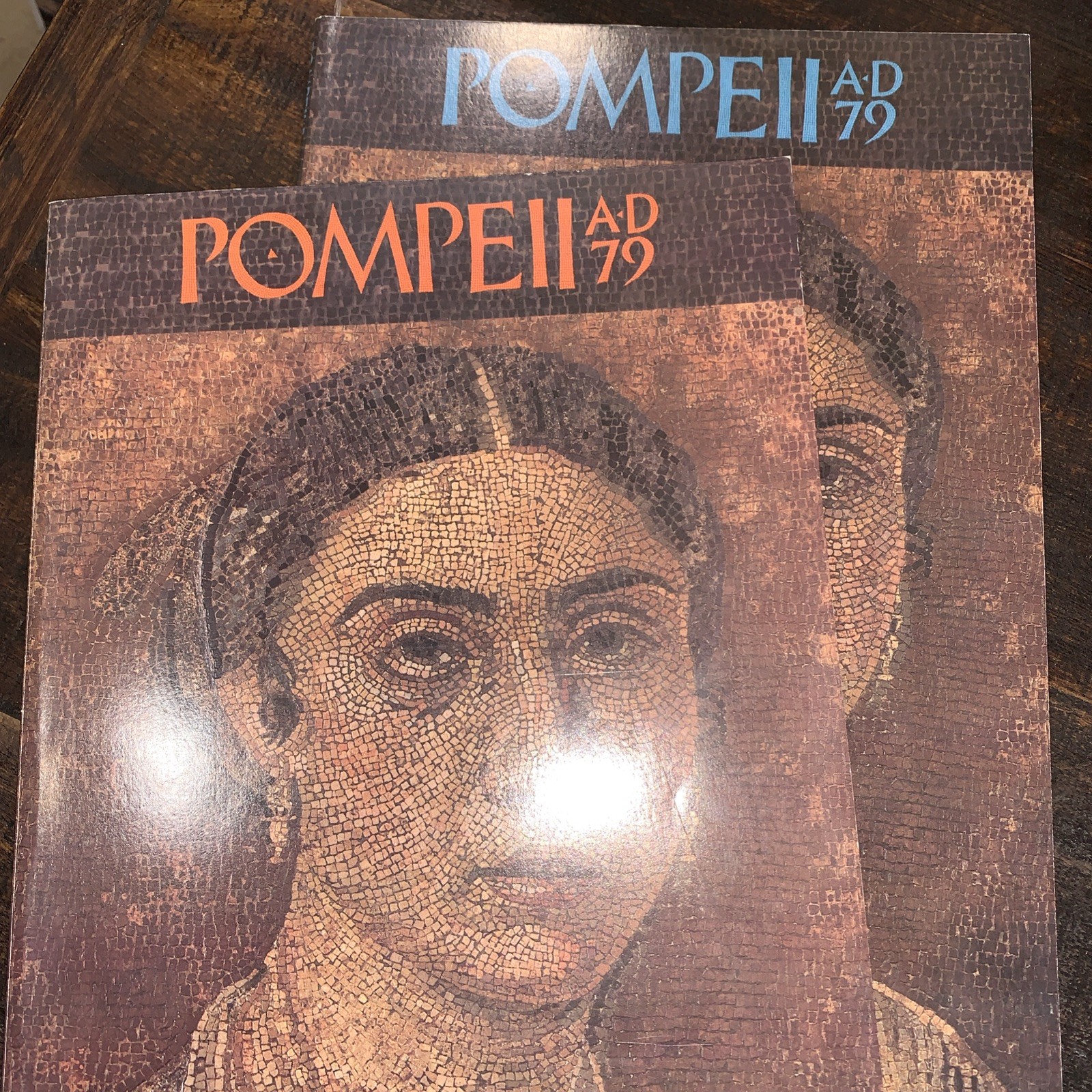 1978 Pompeii AD 79 Volume 1 & 2 Museum Fine Arts Boston Archaeology Volcano Set