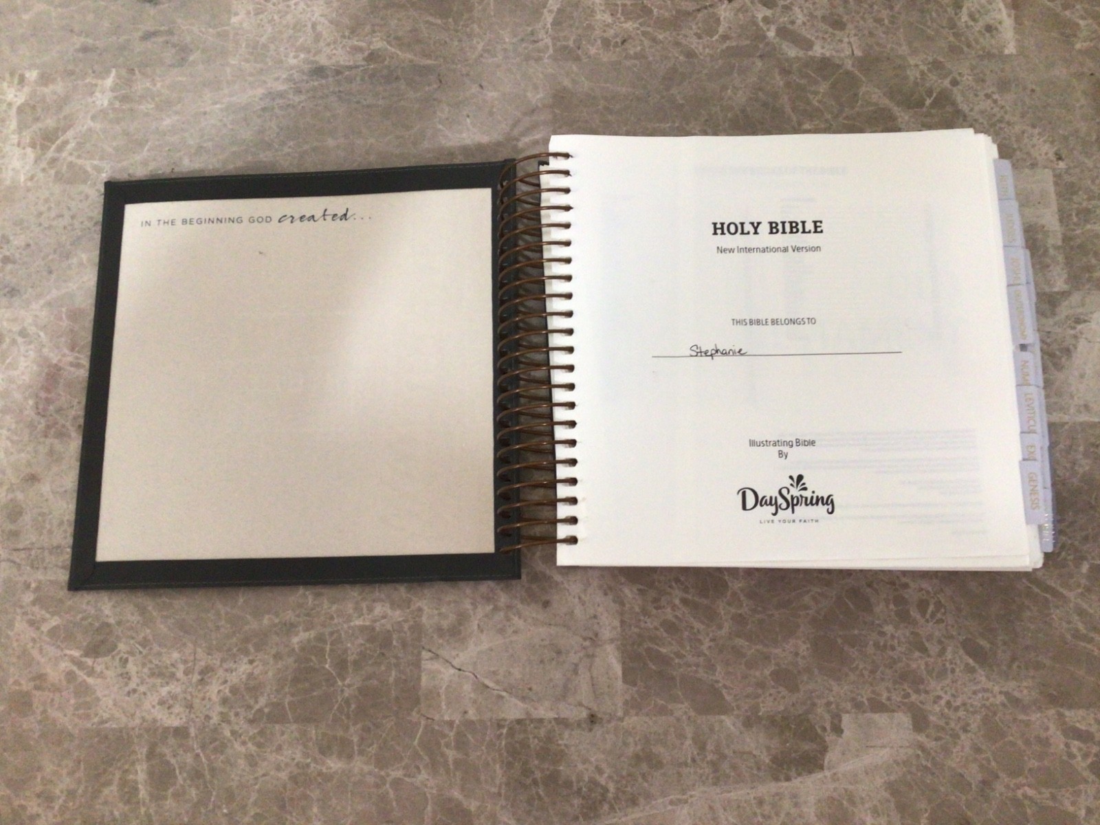 New International Version Illustrating Bible by DaySpring 2020 Leather Spiral