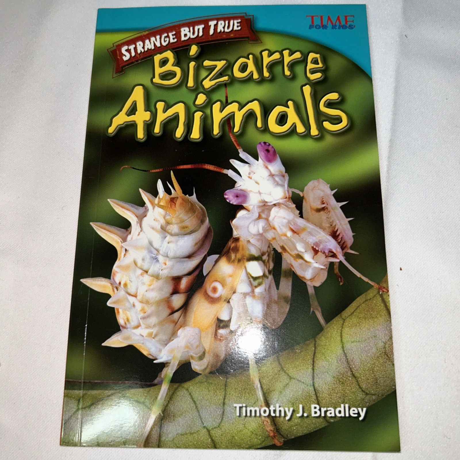 Strange but True : Bizarre Animals by Timothy J. Bradley (2012, Trade Paperback)