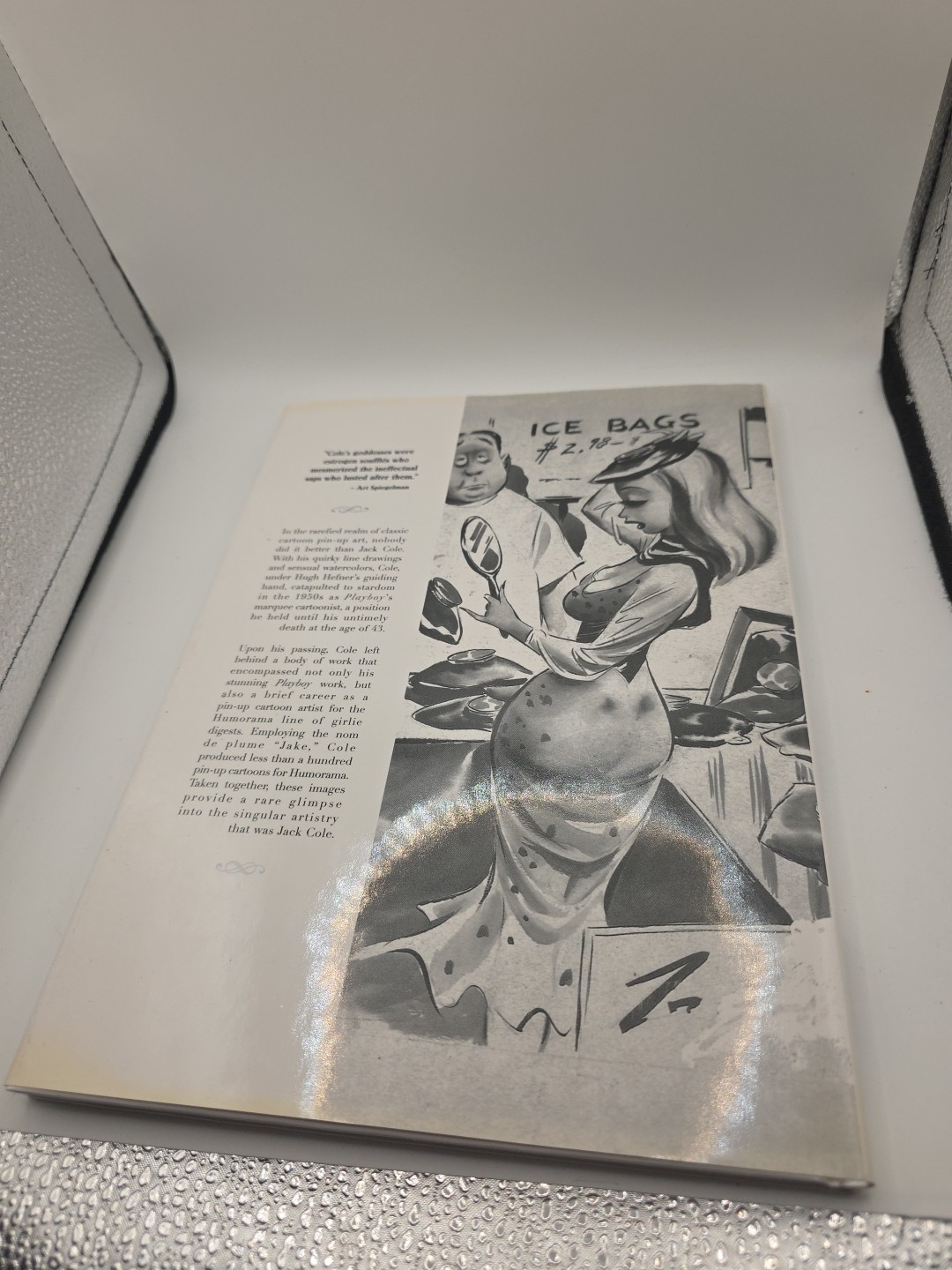The Classic Pin-Up Art of Jack Cole HB Book DJ 2004 1st Ed 10.5X8