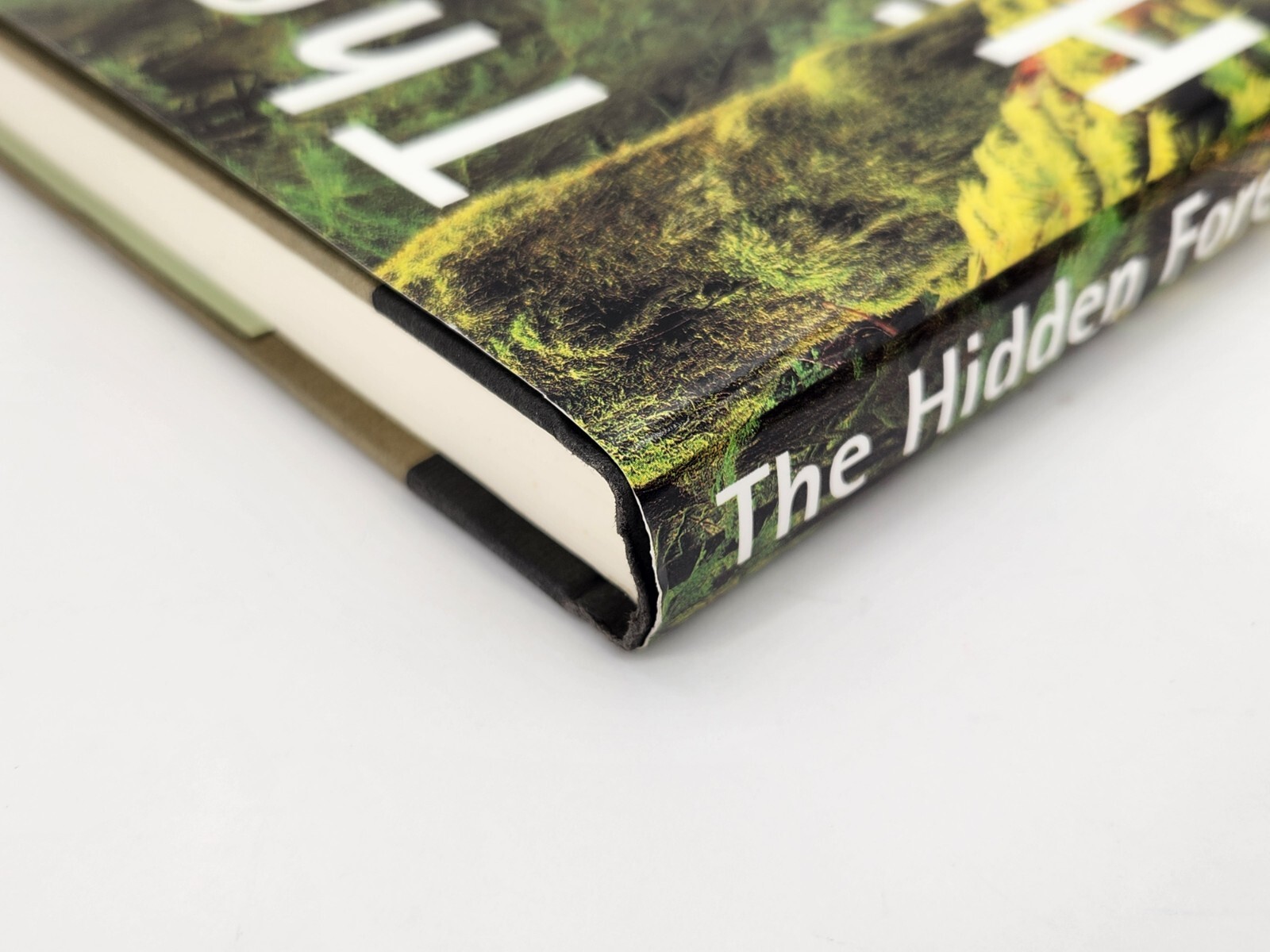 Hidden Forest : Biography of an Ecosystem by Luoma, Jon R. 1999 Hardcover