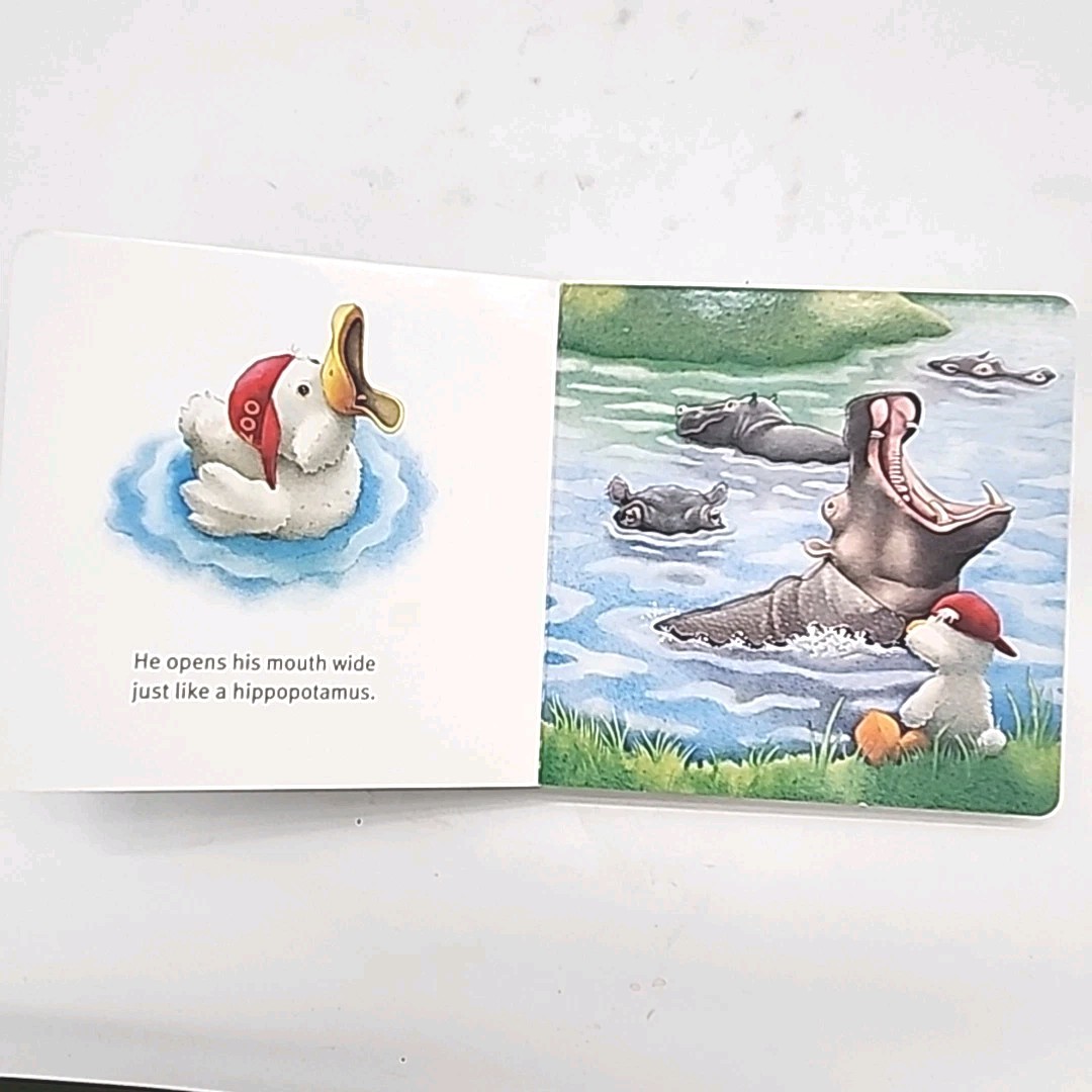 Copycat Charlie by Marcus Pfister 1st Edition 2008 Board Book