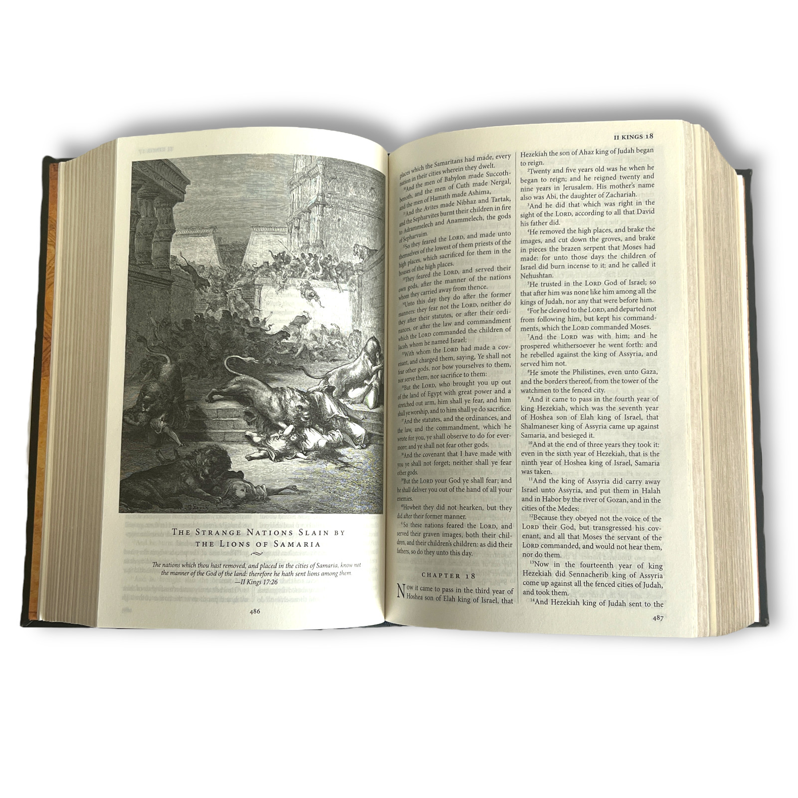 THE HOLY BIBLE King James Version KJV Deluxe Illustrated Bounded Leather – New