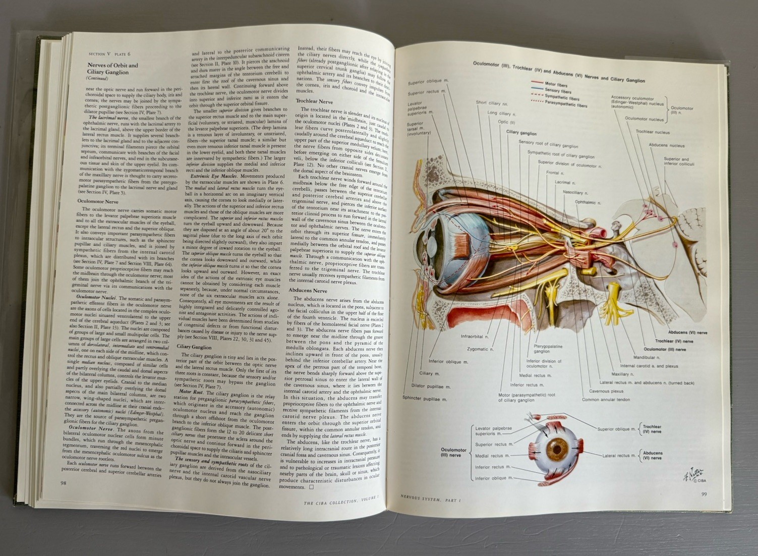 Ciba Collection of Medical Illustrations Volume 1 Nervous Systems Part 1 Netter