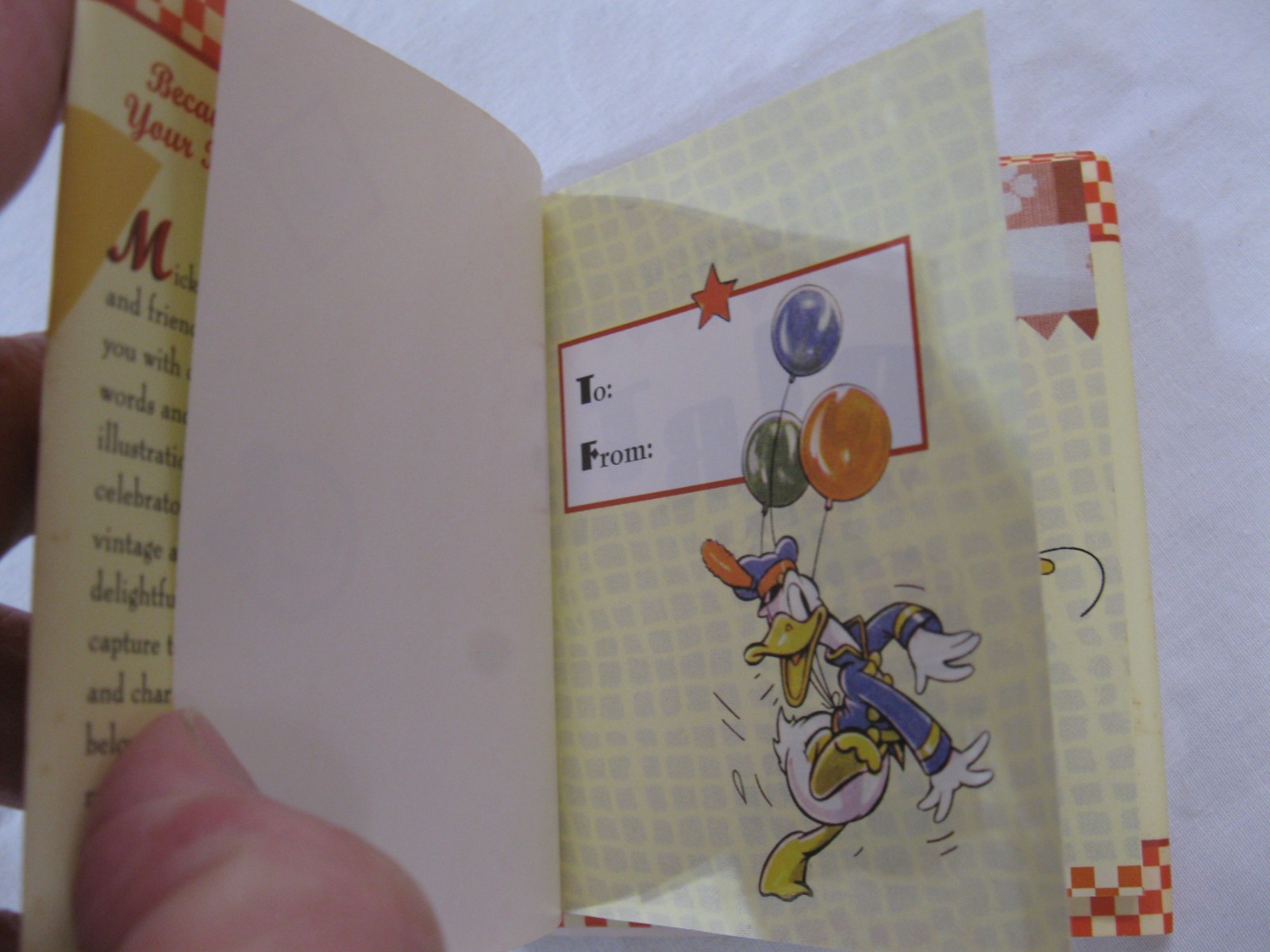Mickey Minnie Because It’s Your Birthday Book HCDJ 2006 HTF 48 Pages