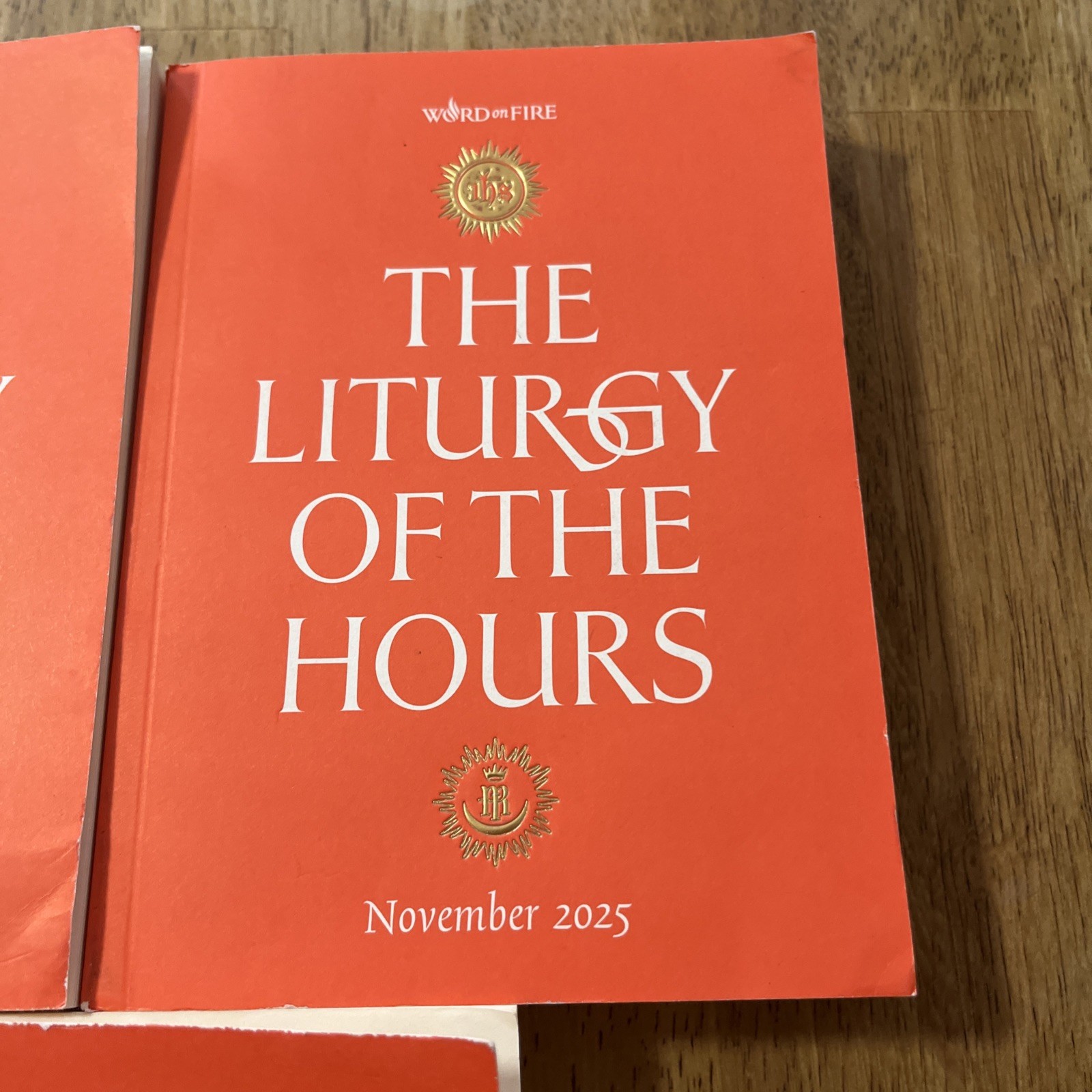 The Liturgy of the Hours September October November 2025 Word on Fire Set Lot 3