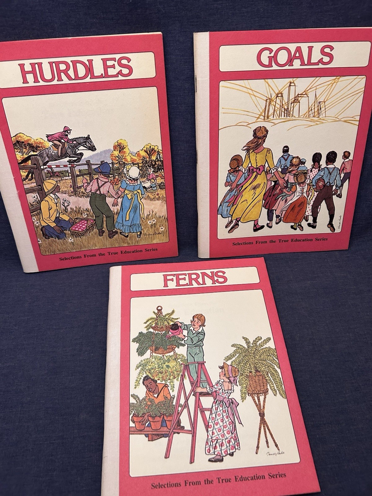 Lot 8 True Education Series Books Pacific Press SDA Seventh-day Adventist School
