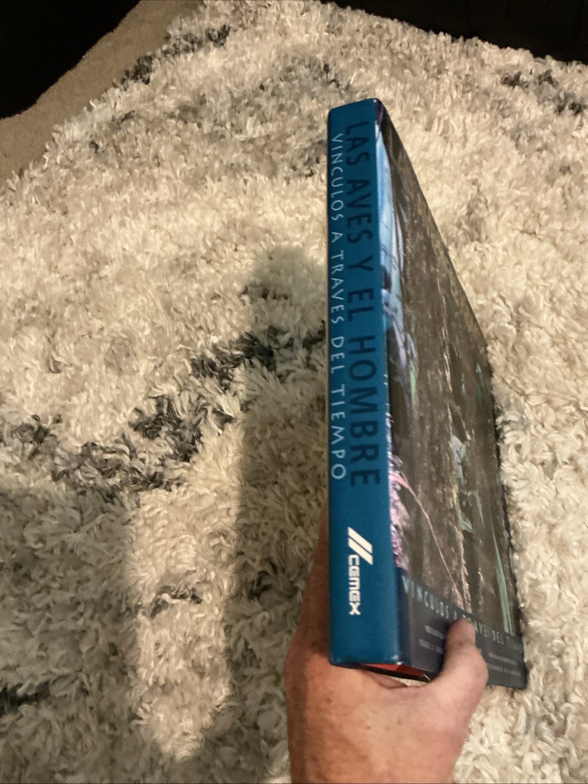 La Avery El Hombre Vinculos A Traverse Del Tiempo The Wild Foundation H/C Book