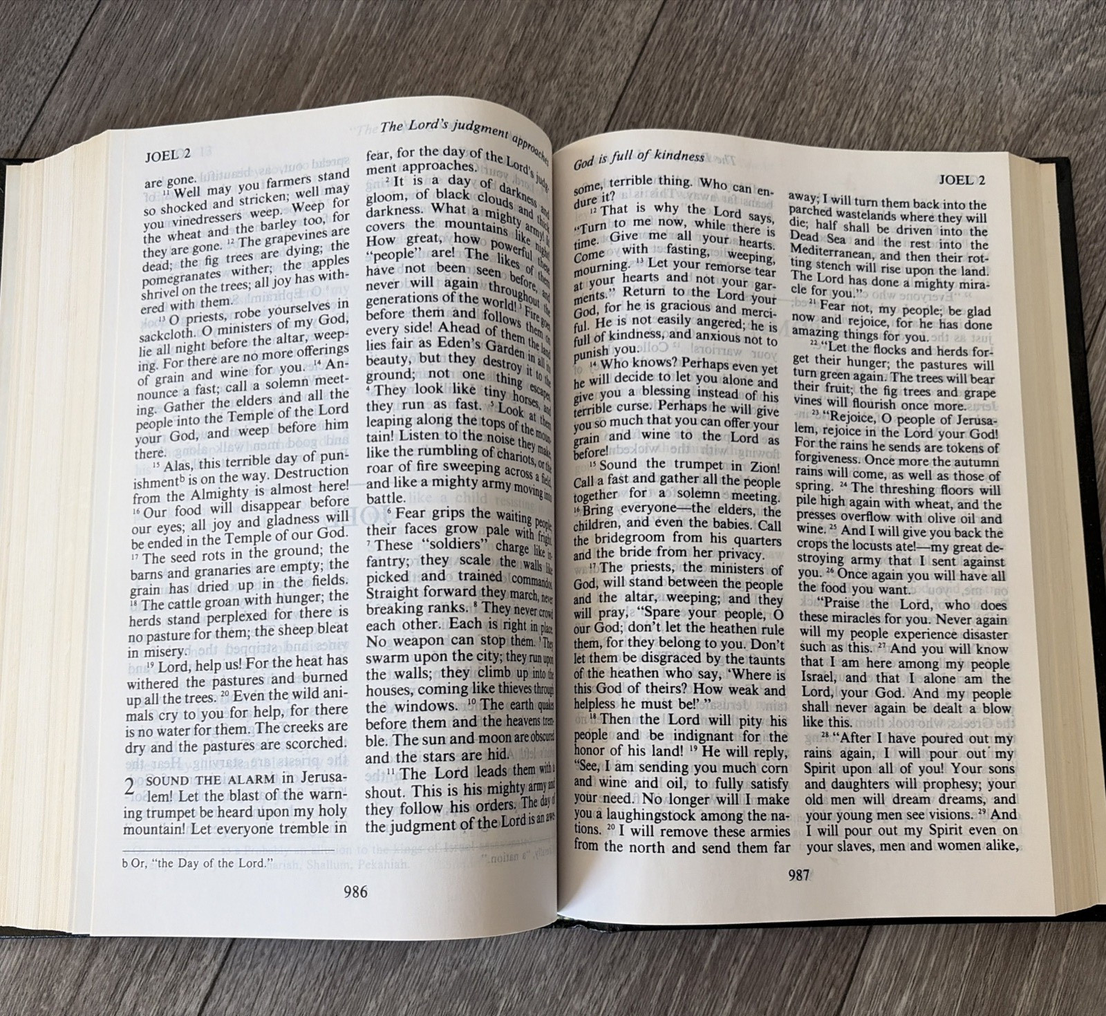 The Living Bible Large Print Edition Red Letter Holy Spiritual Book