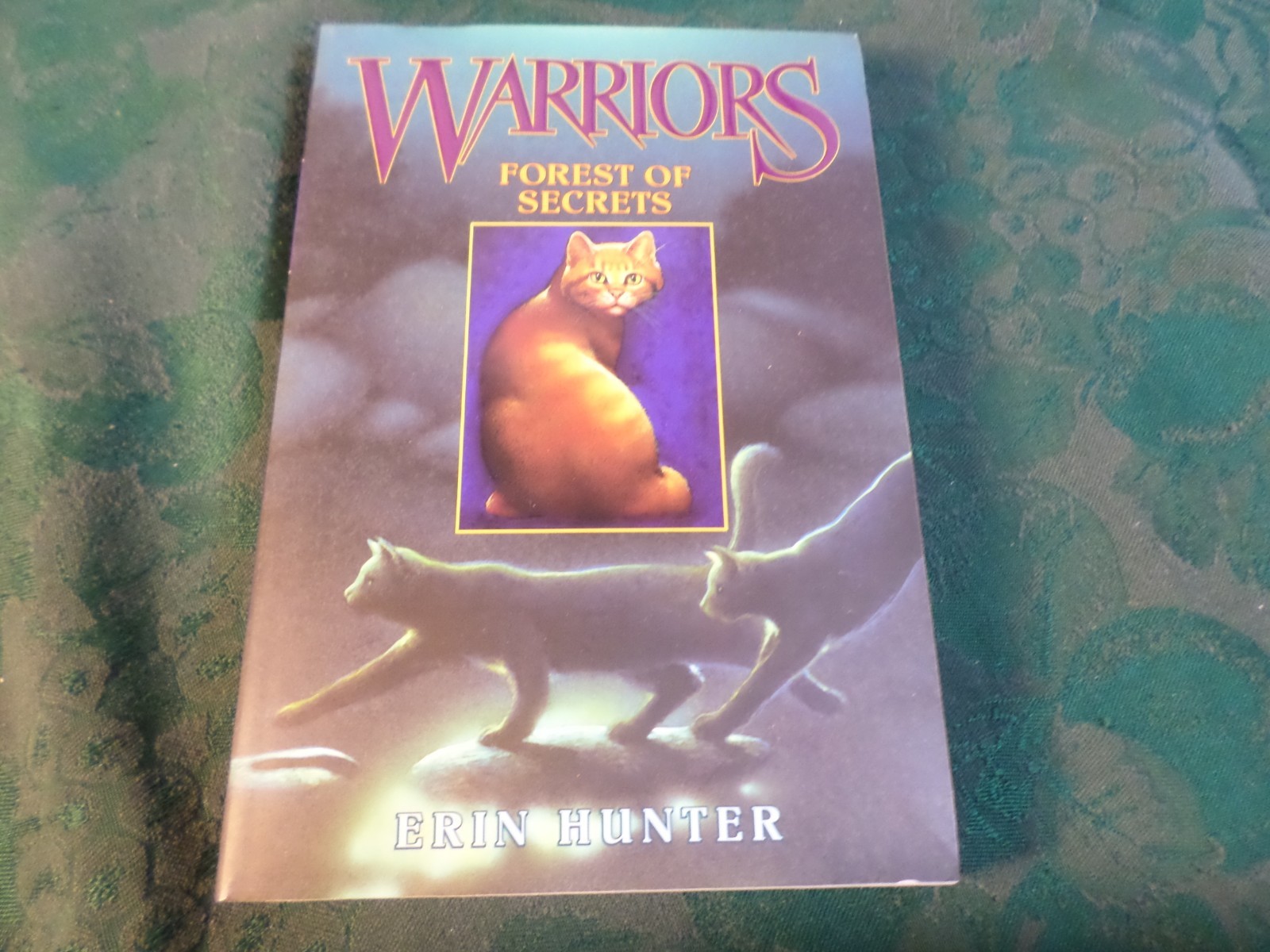 2004-3 Vol. Paperback Book Box Set-Warriors-Erin Hunter