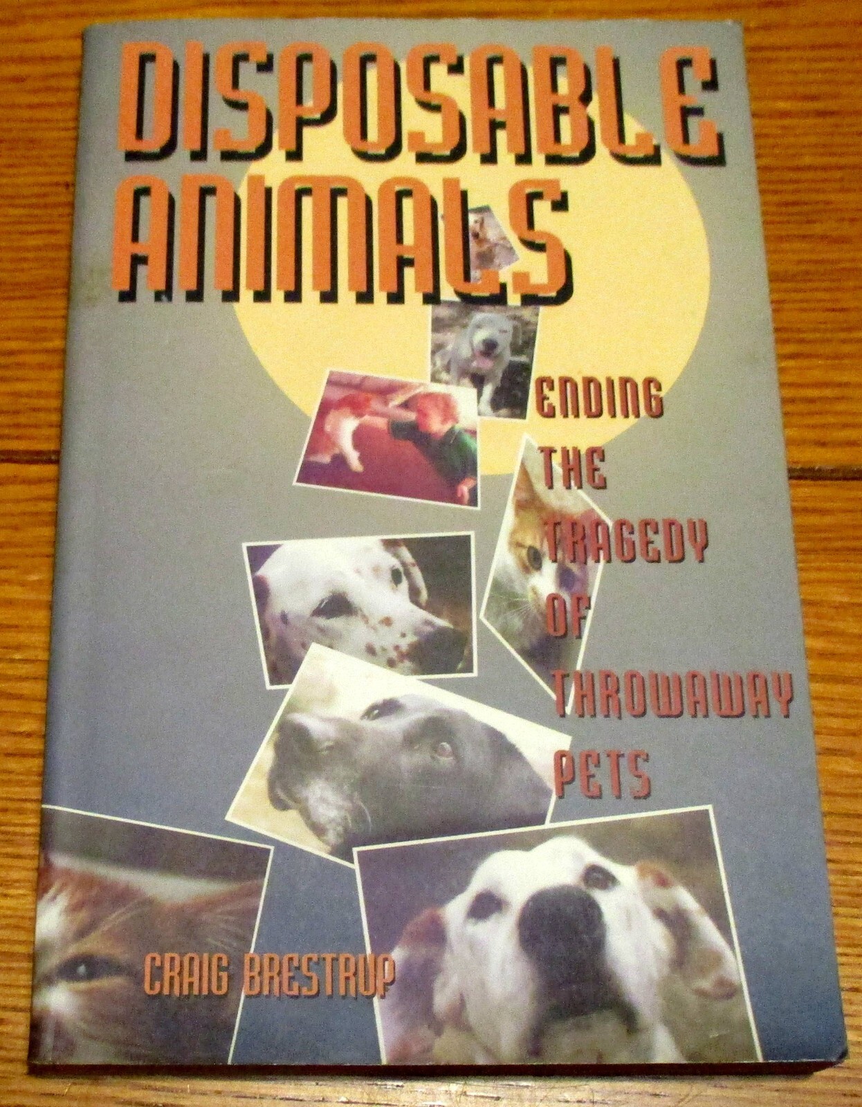1997 Disposable Animals by Craig Brestrup SIGNED First Edition 208 Pages