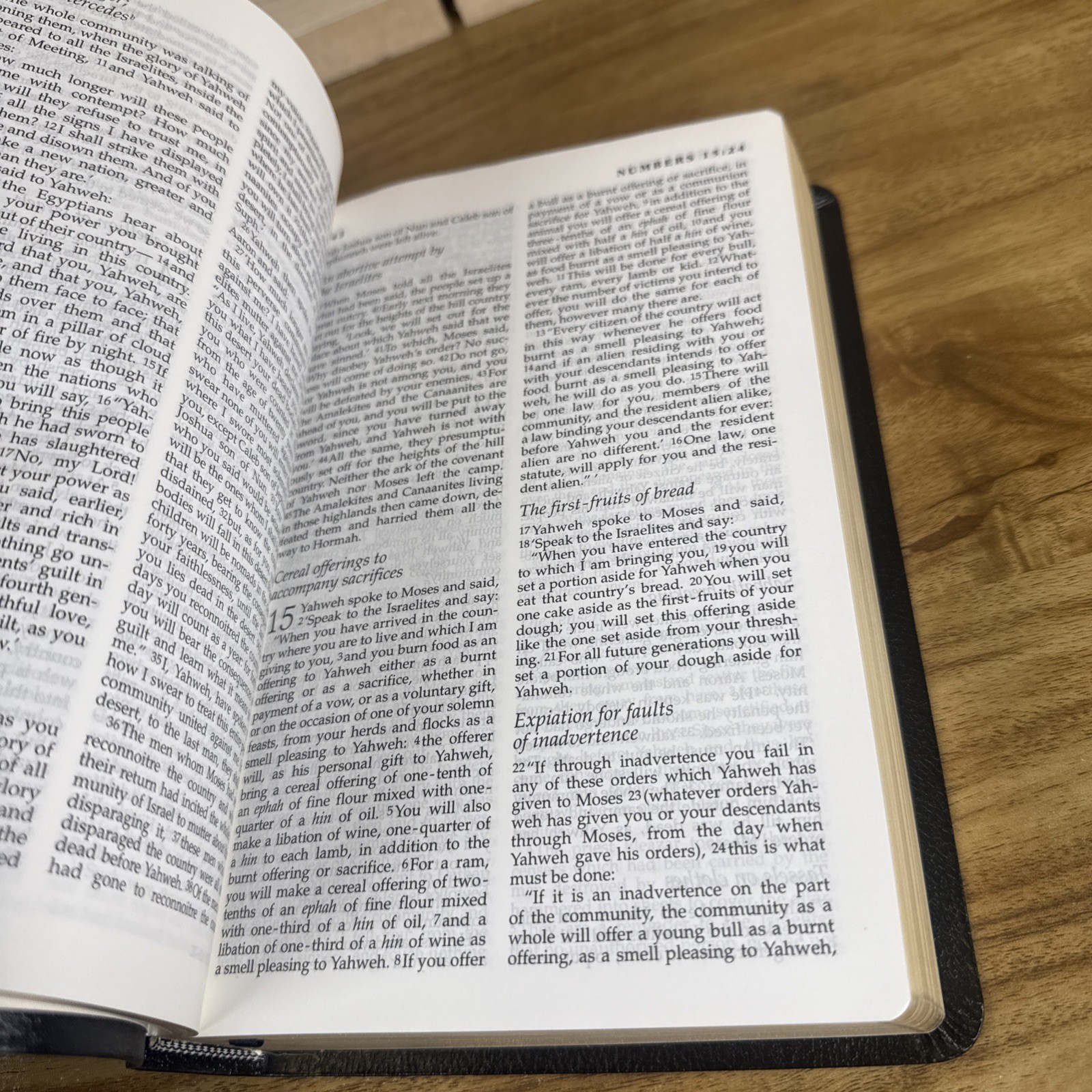 New Jerusalem Bible: Leather Edition Slipcase – Henry Wansbrough Catholic 1999