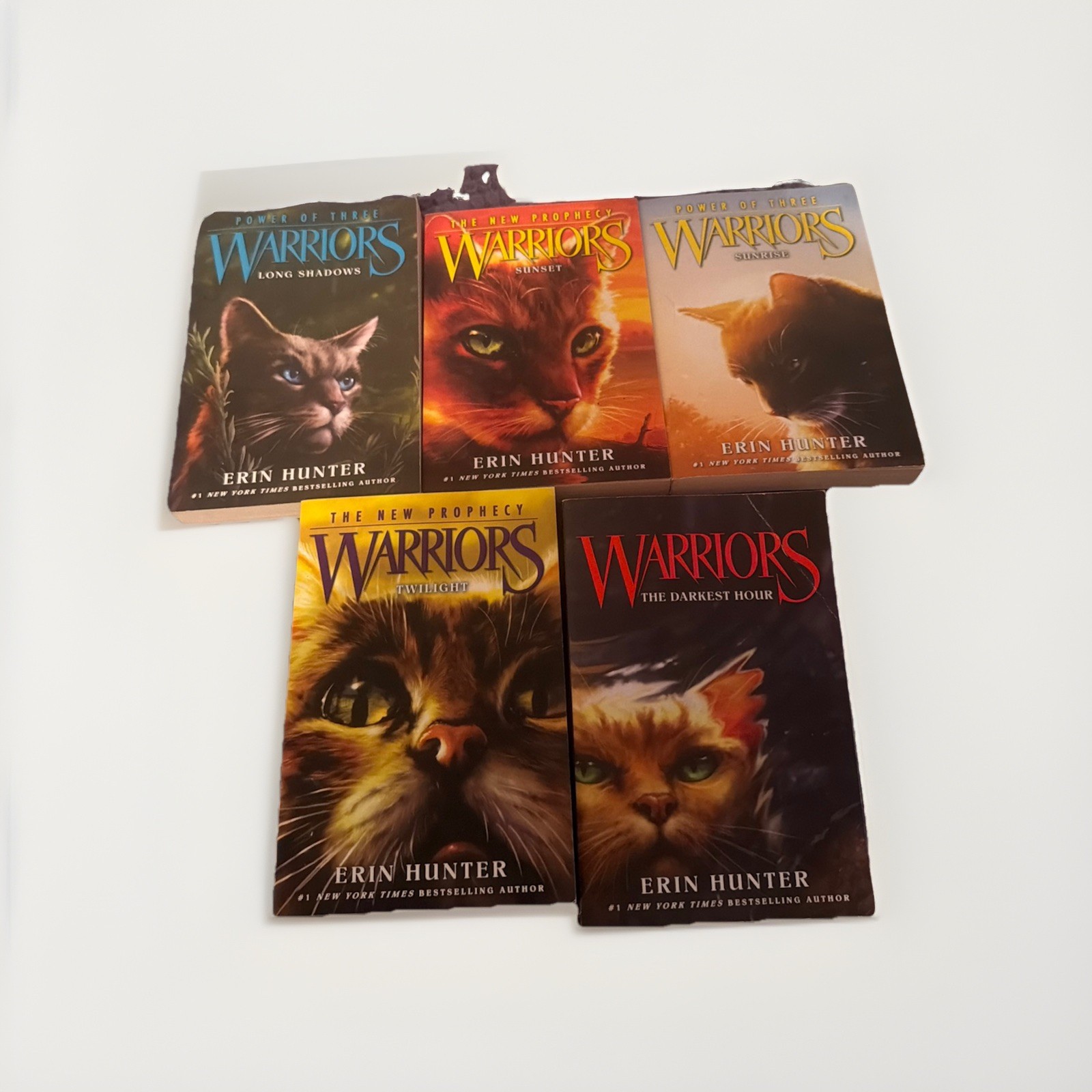 Erin Hunter Warriors Books – Lot of 5 Paperback Warrior Cats – Books