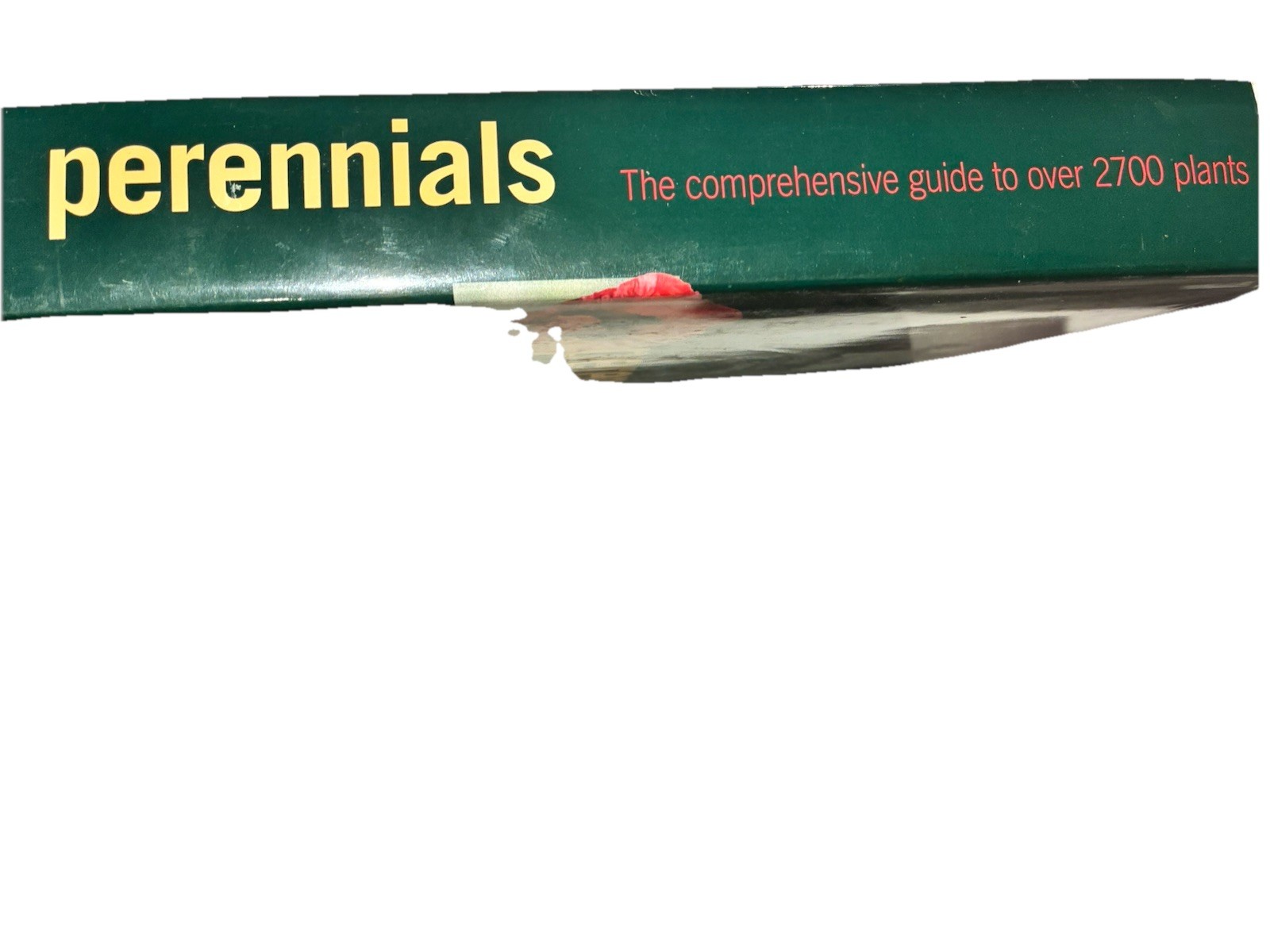 Perennials The comprehensive guide to over 2700 plants