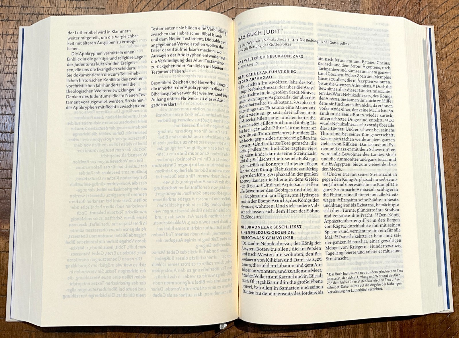 German Bible, Die Bibel, 2017 Revised Luther + Deuterocanon, Hardcover Jubilee