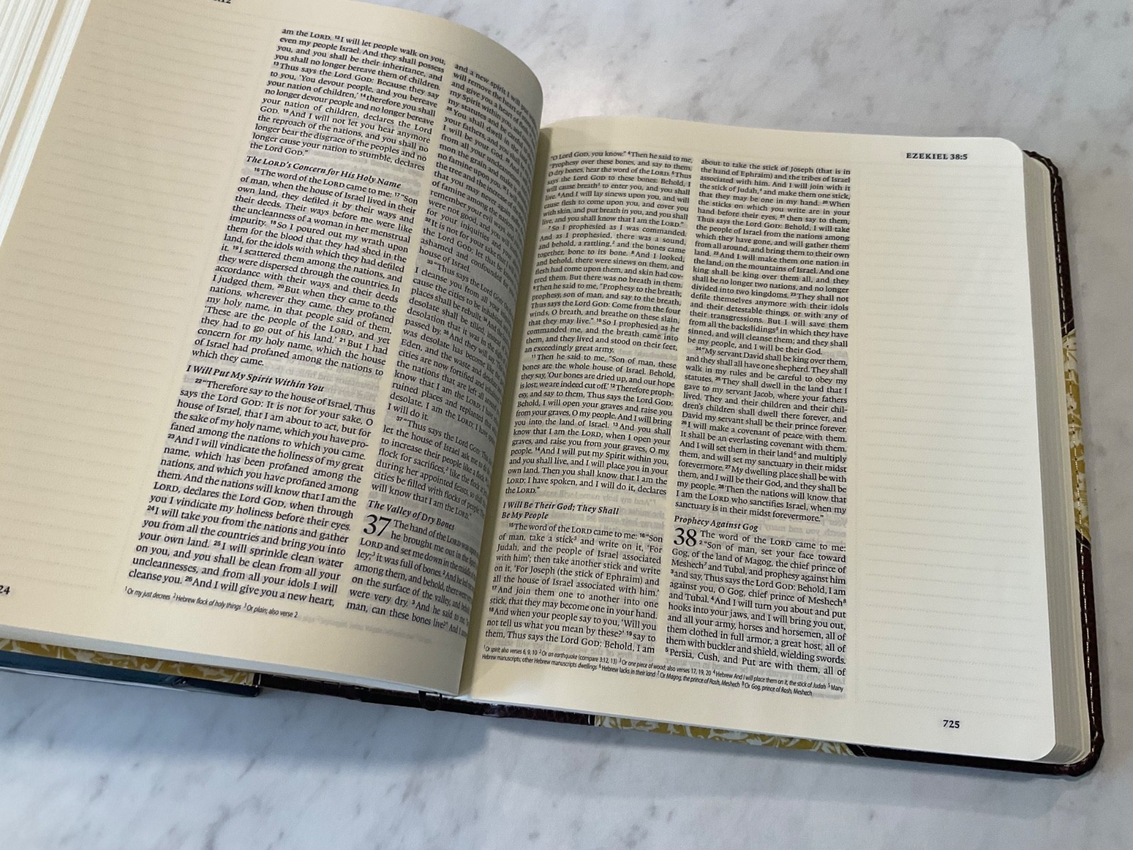 ESV Journaling Bible and 3 Sticker Sheets