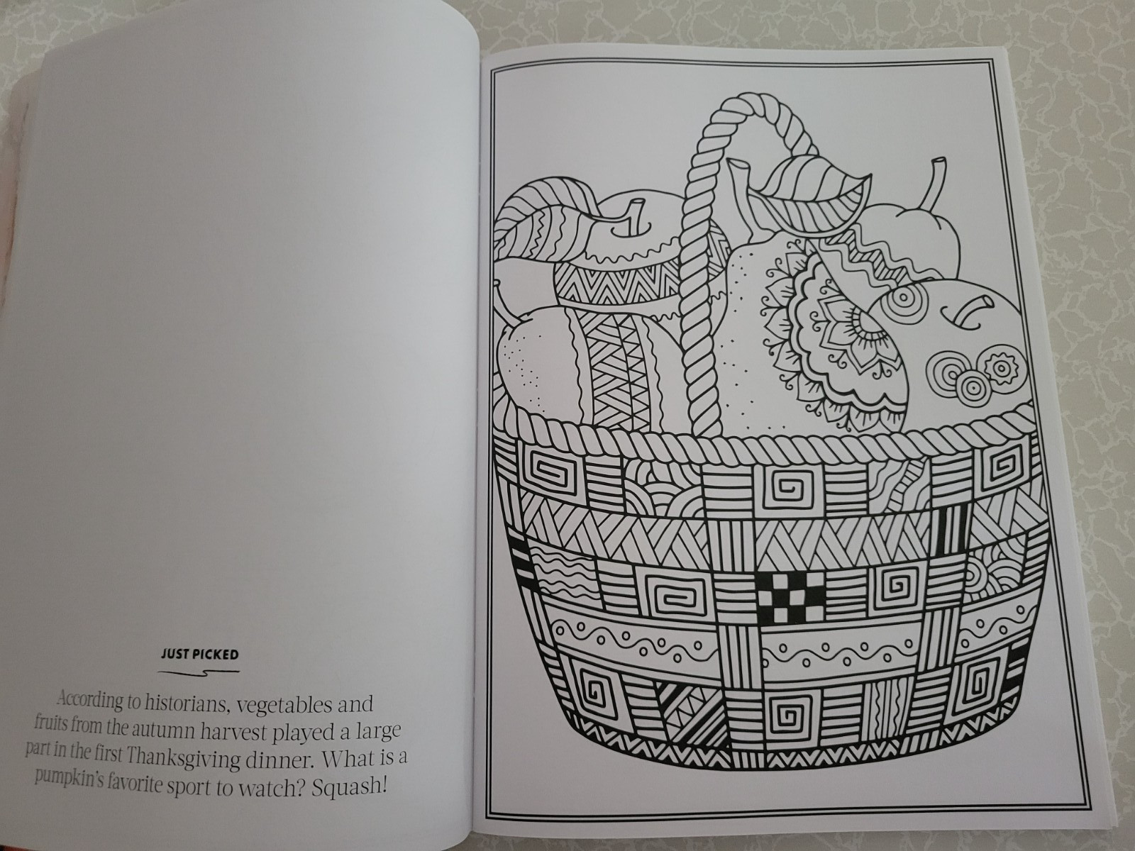 THANKSGIVING ADULT COLORING BOOK – 2022 CENTENNIAL – 32 FESTIVE COLORING PAGES
