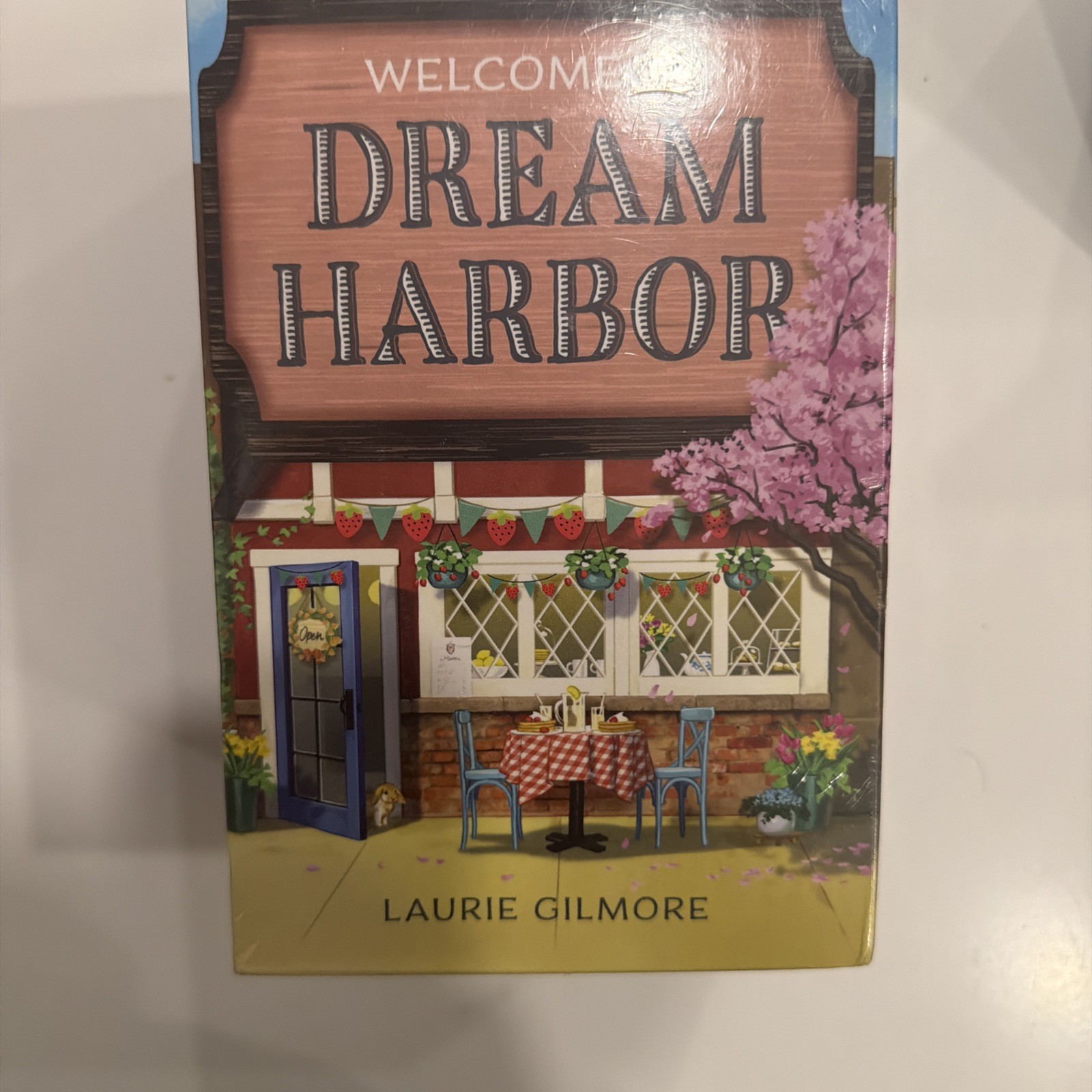 Dream Harbor Box Set Paperback – September 16, 2025 Paperback