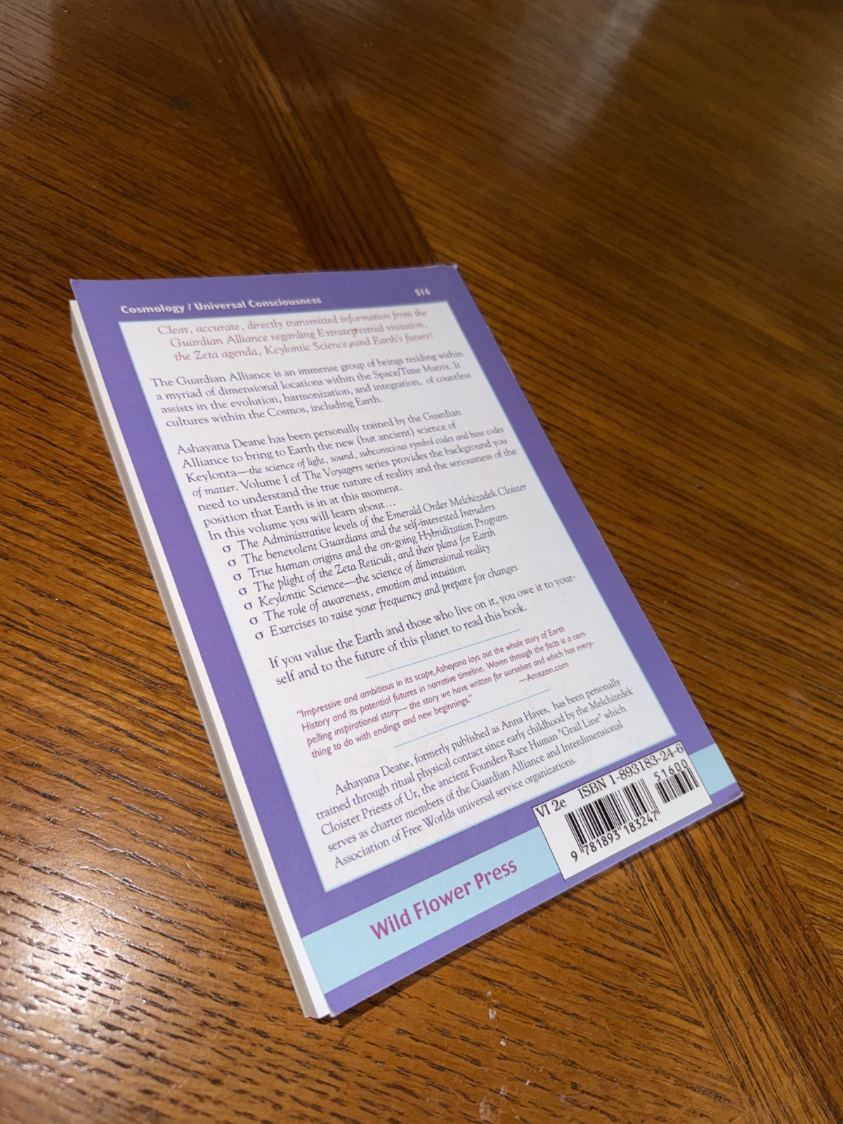 Voyagers I: The Sleeping Abductees – Ashayana Deane (2001, Trade Paperback)